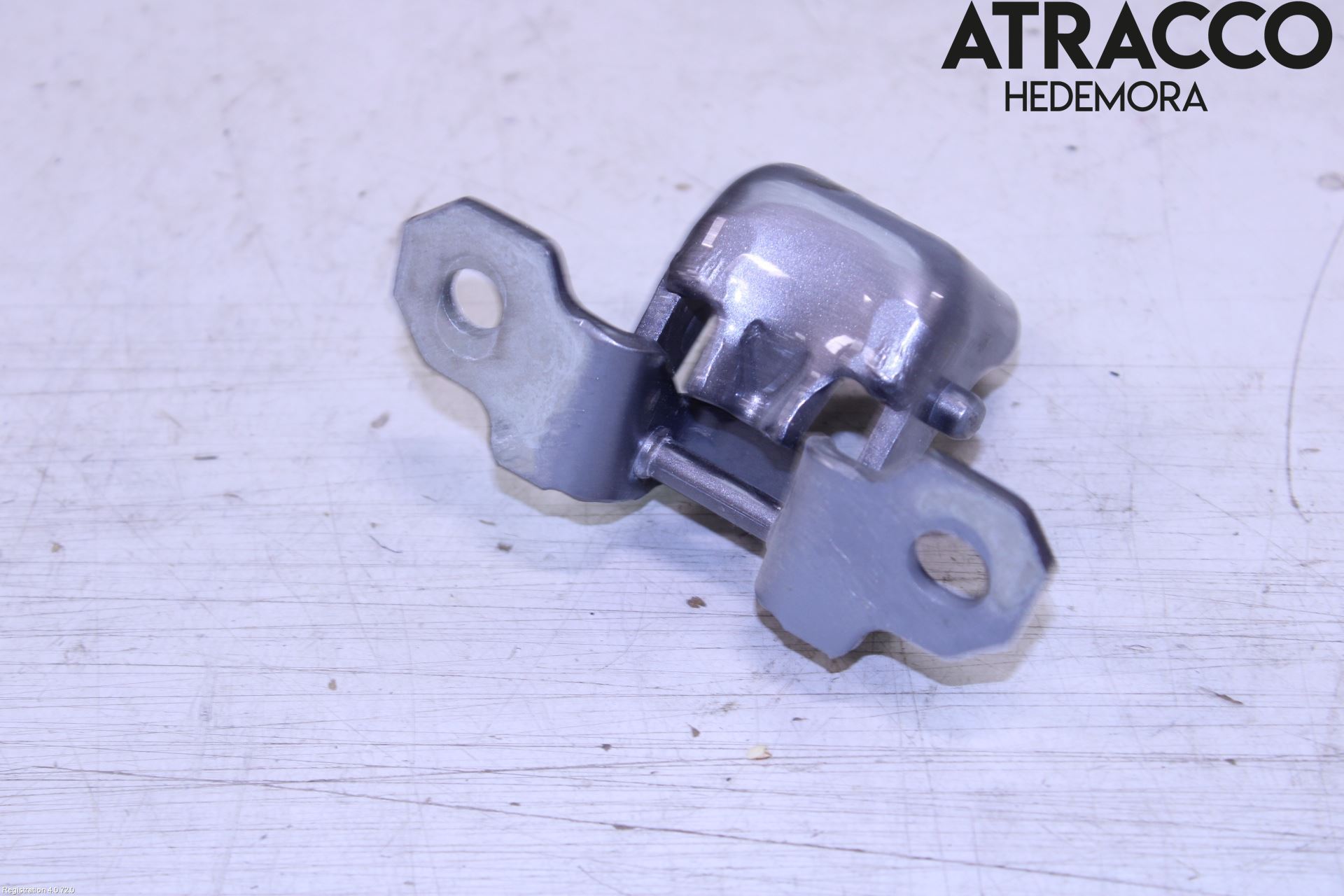 Renault CLIO IV 12-16 Dörrgångjärn