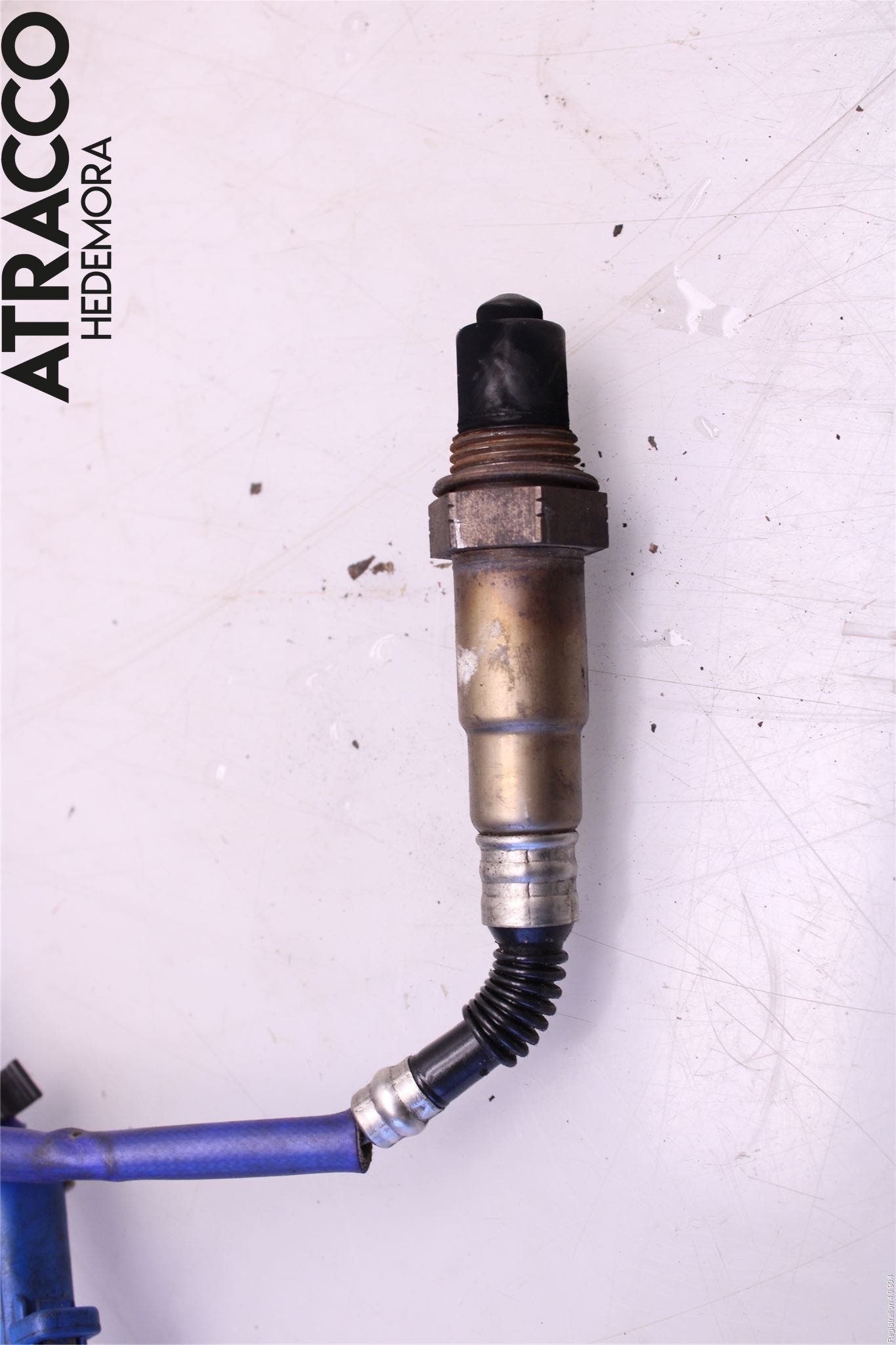 Ford FOCUS 11-14 Injlambdasond