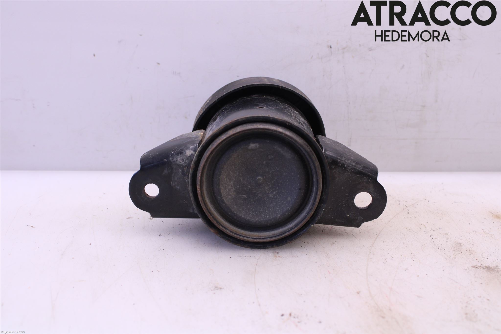 Nissan LEAF 18- Motorkudde