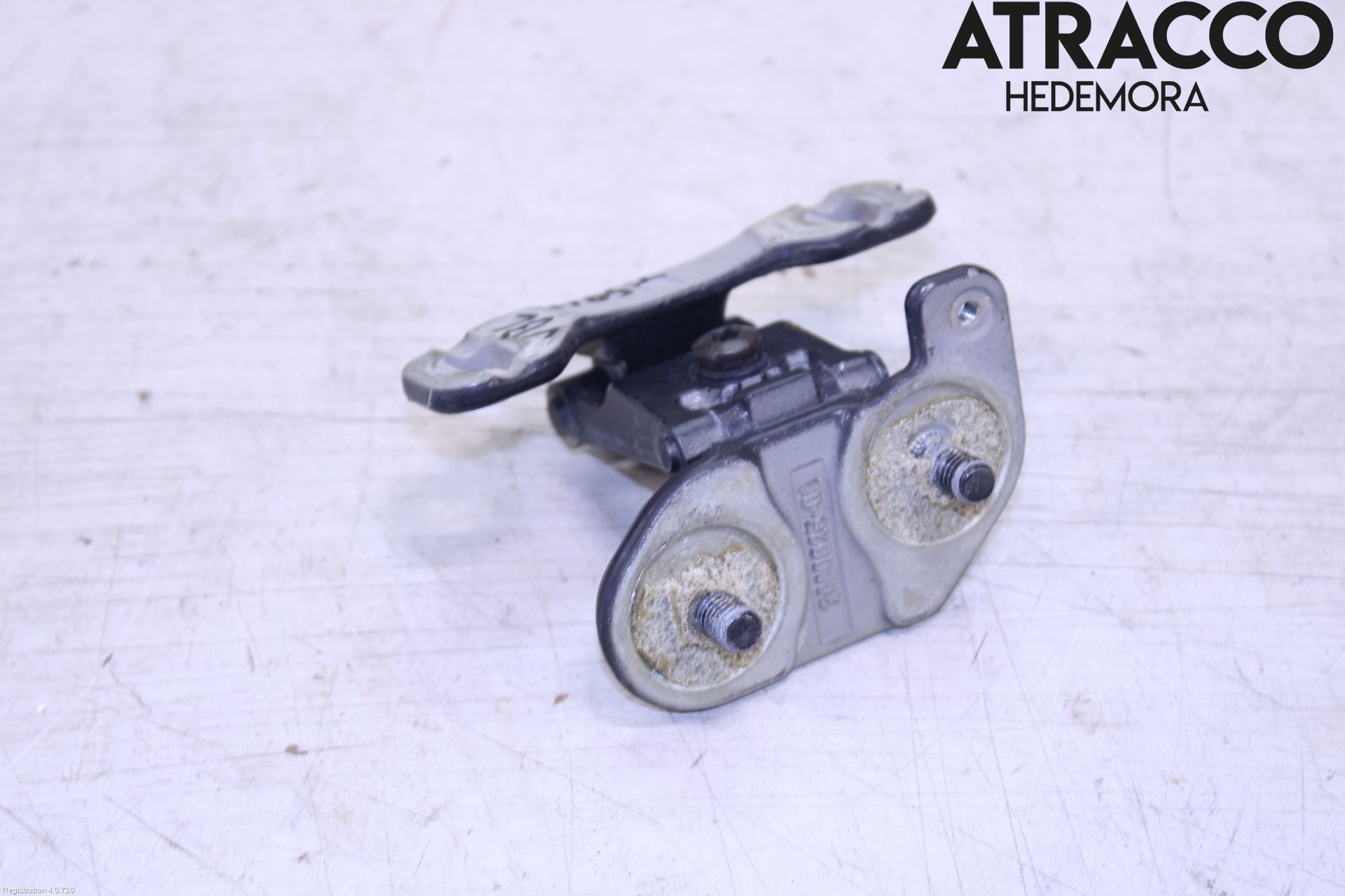 BMW X1 E84 10-15 Bakluckegångjärn Vä