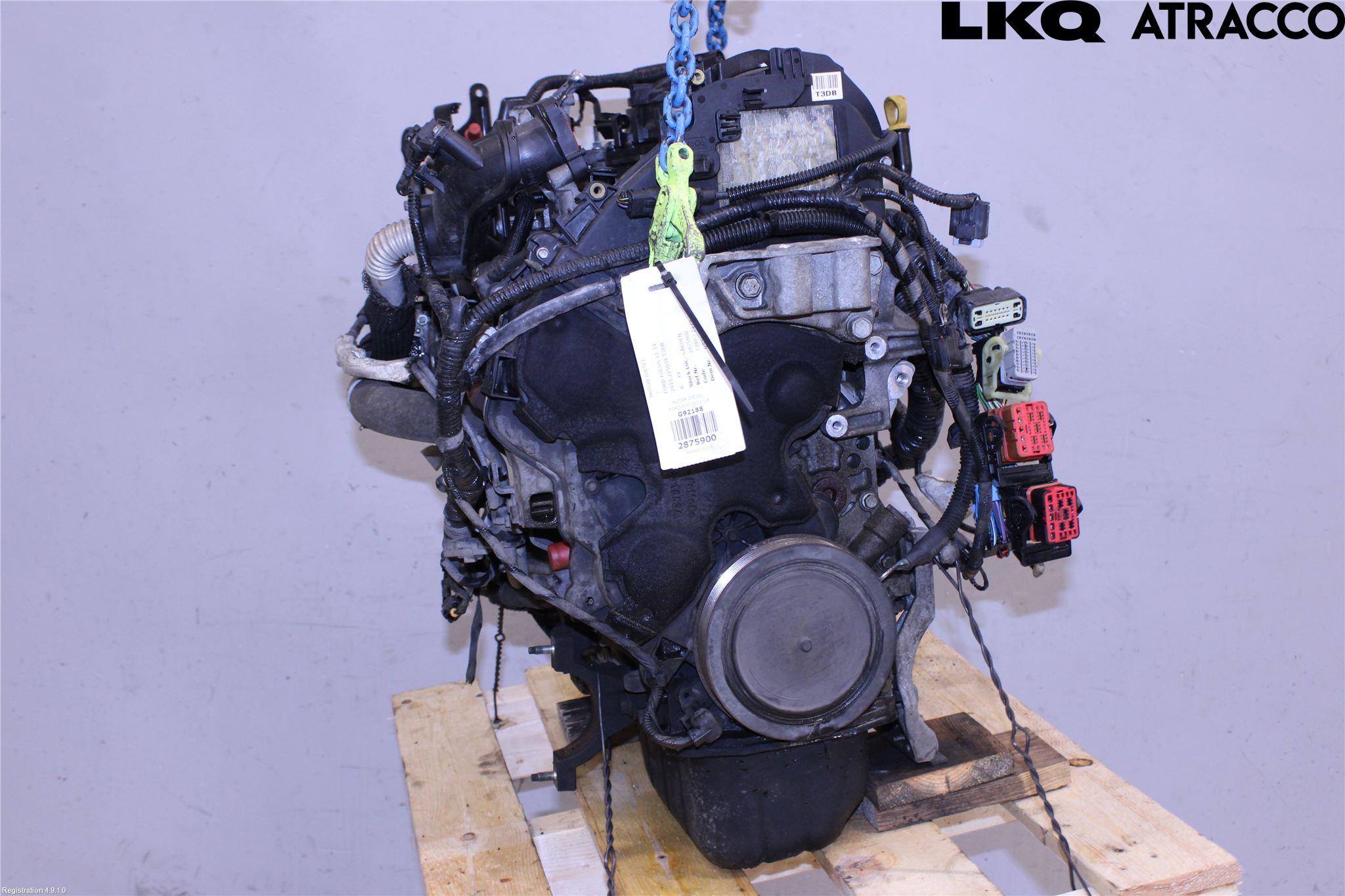 Ford FOCUS 11-14 Motor Diesel