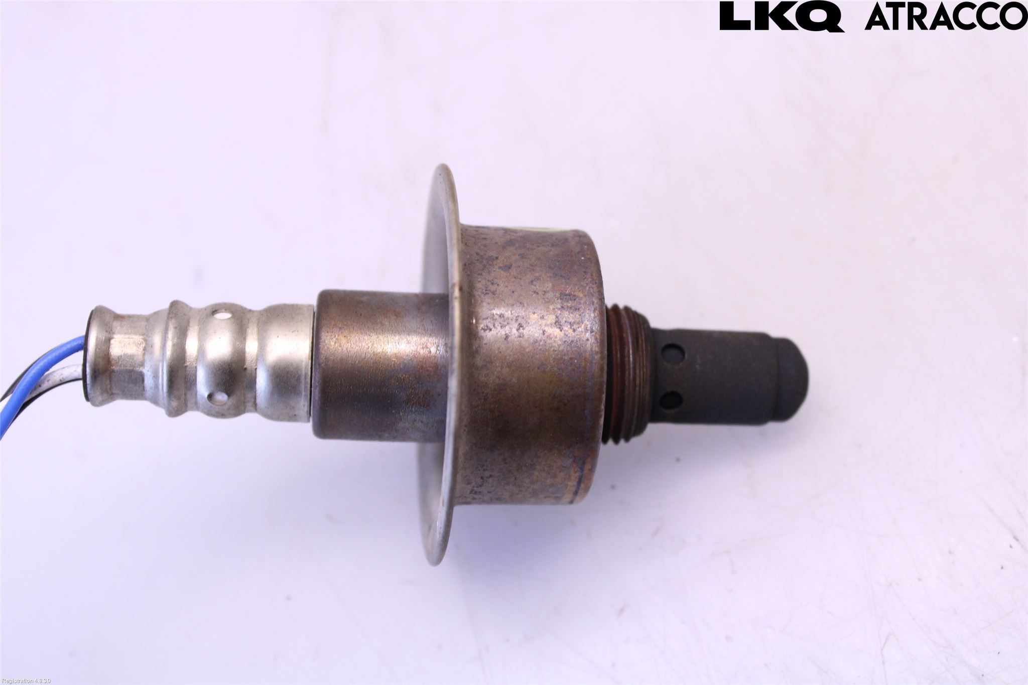 Honda ACCORD    08- Injlambdasond