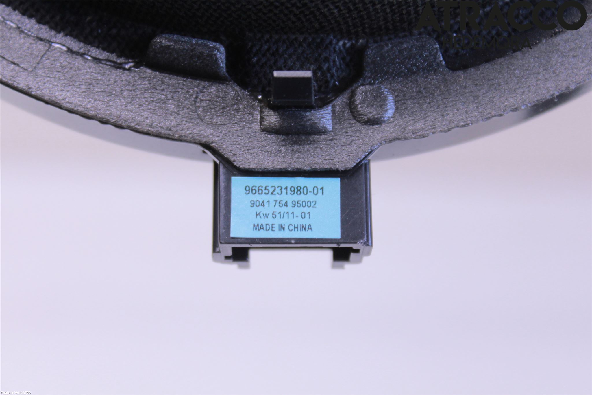 Citroen DS5 Högtalare