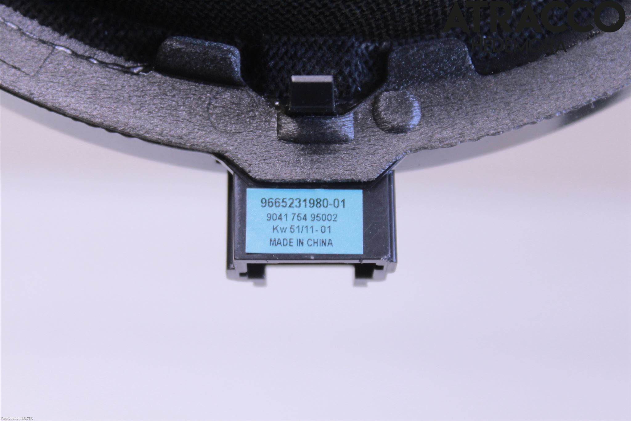 Citroen DS5 Högtalare