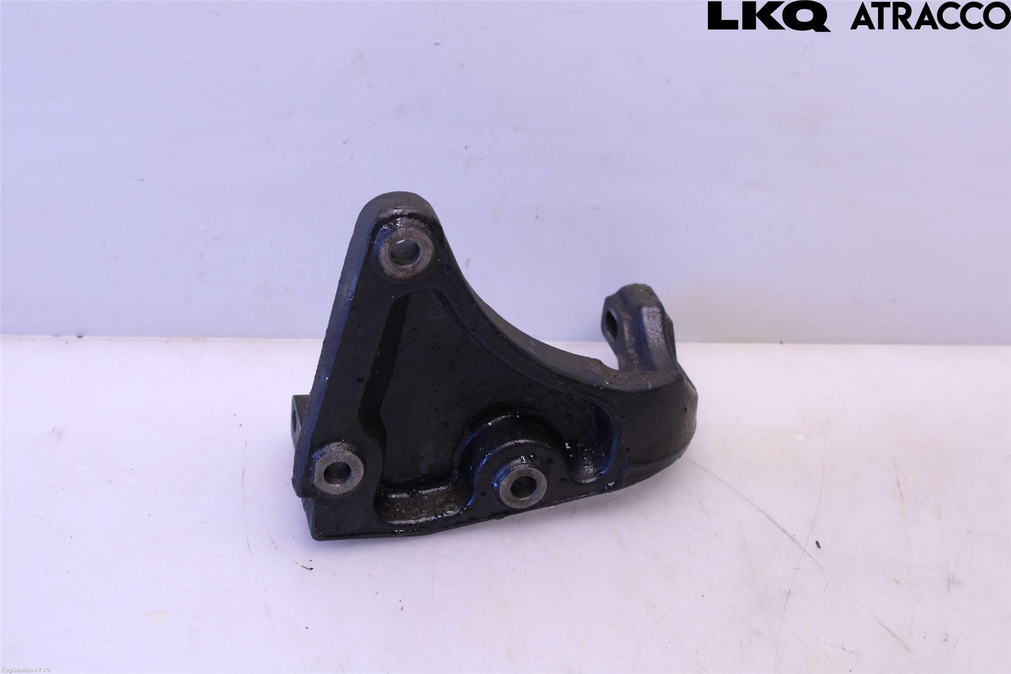 Fiat FREEMONT Motorfäste