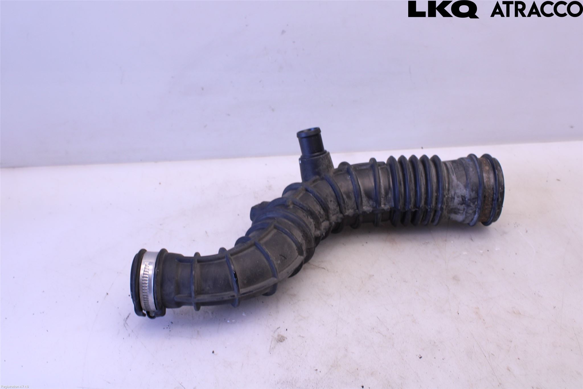 Dacia LOGAN MCV/STEPWAY Injgummibälg-Slang