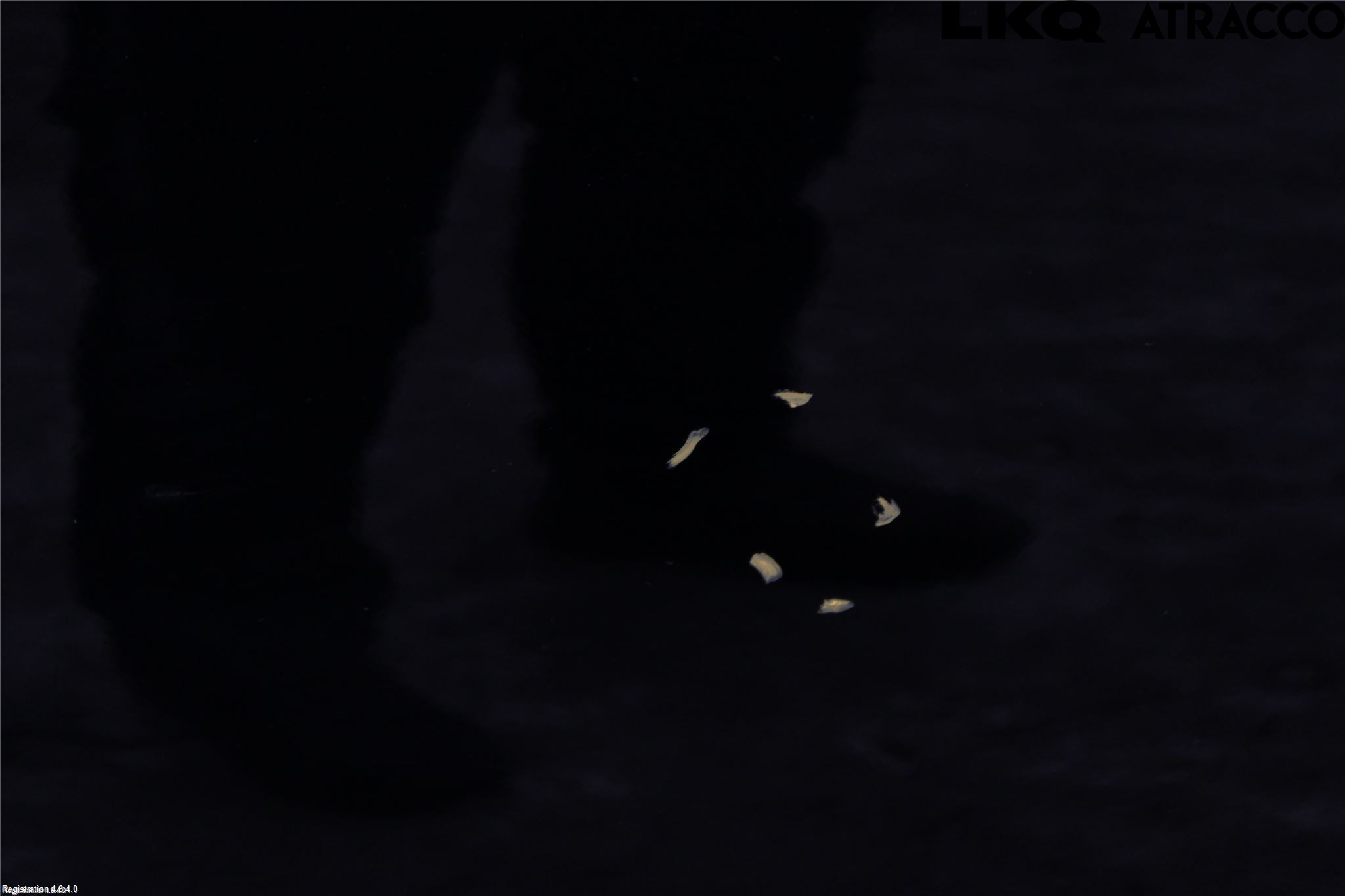 Dodge PICK UP RAM 81- Dörr Bak Vänster