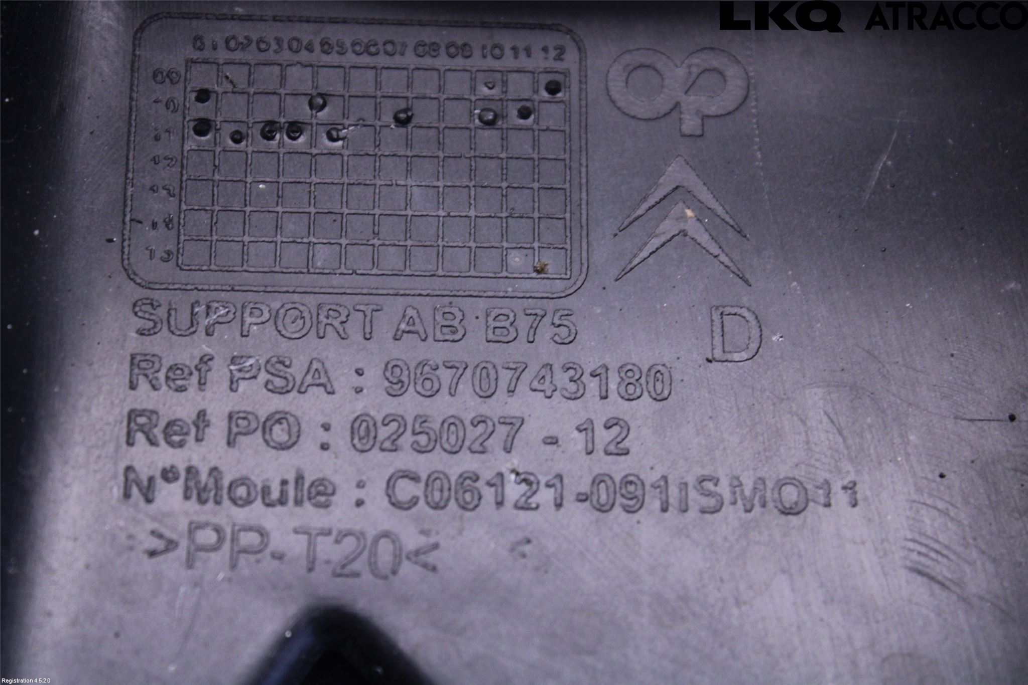 Citroen DS4 Dimljussarg Fram