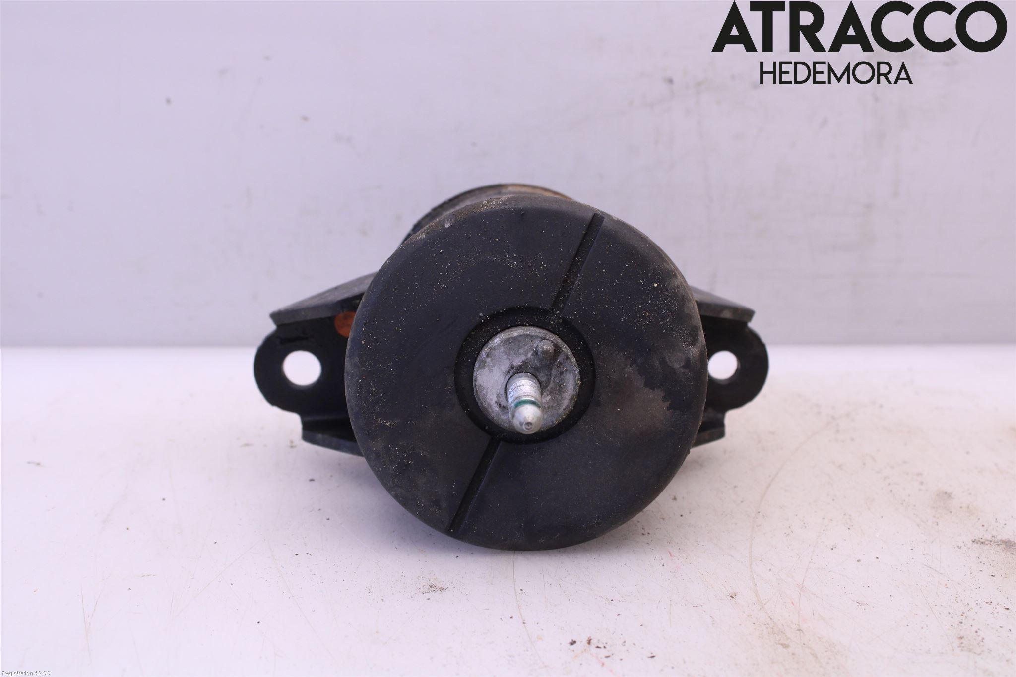 Nissan LEAF 18- Motorkudde