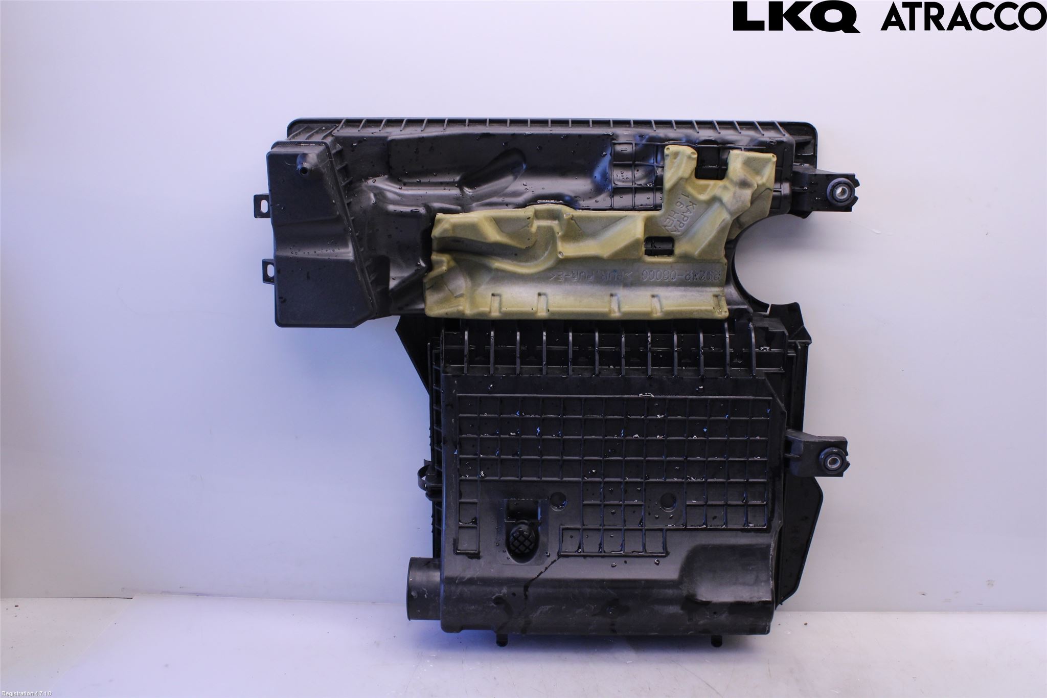 Kia NIRO (DE) 17-22 Luftrenare