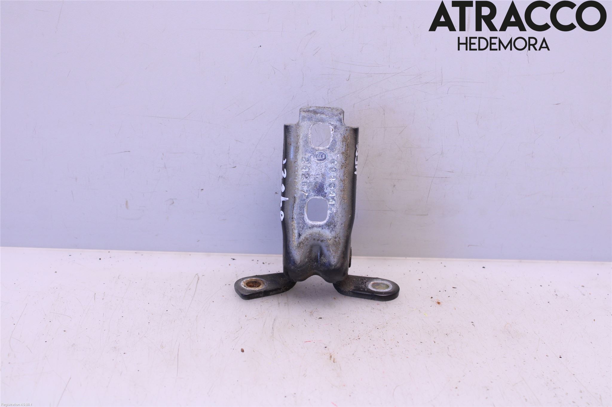 Cadillac CTS Dörrgångjärn