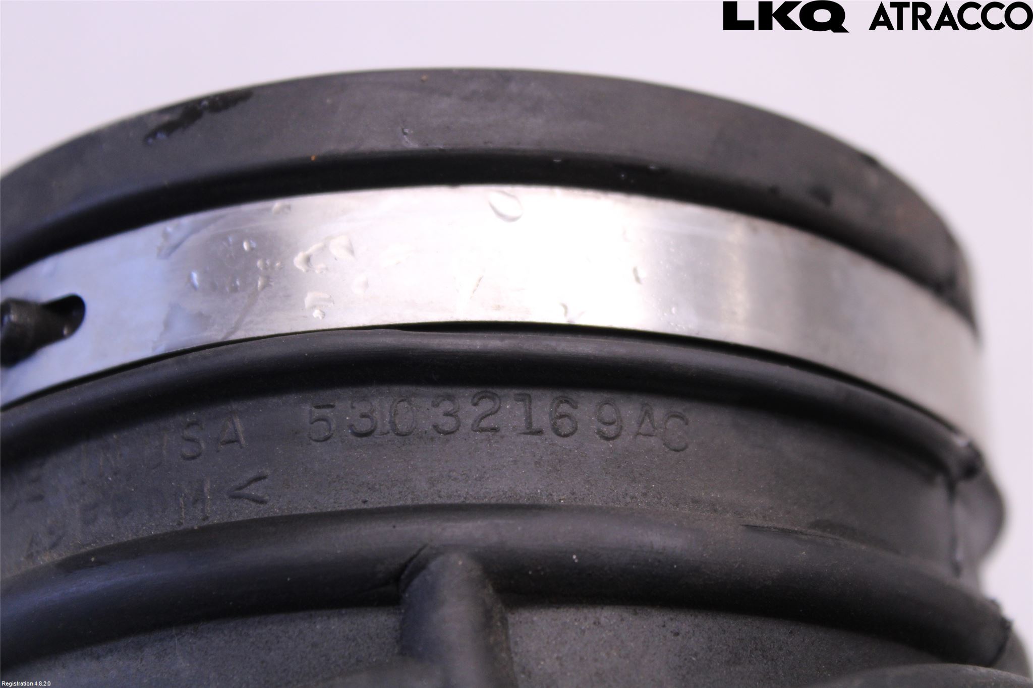 Dodge PICK UP RAM 81- Injgummibälg-Slang