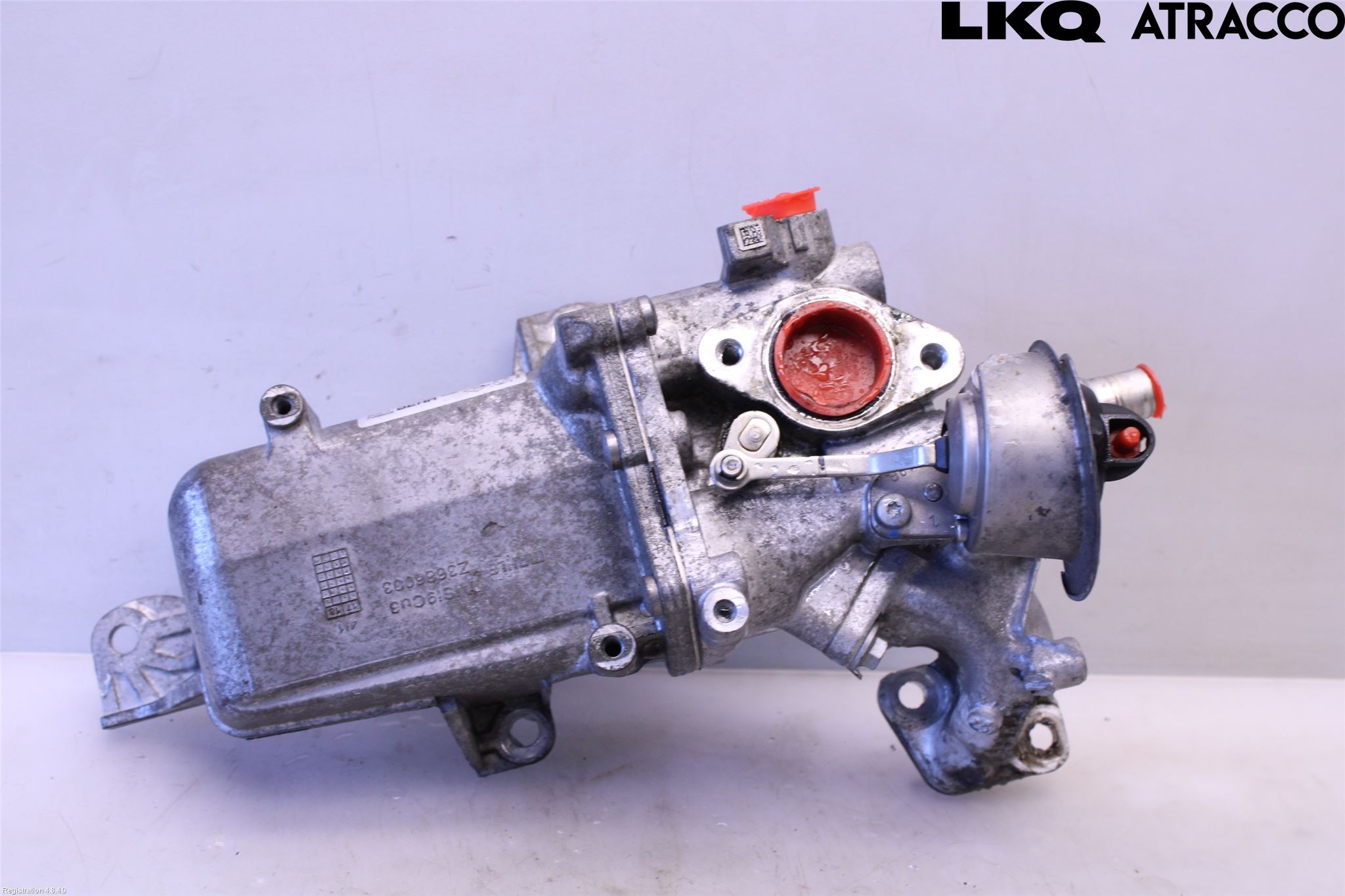 Renault ALASKAN 18-20 Avgaskylare