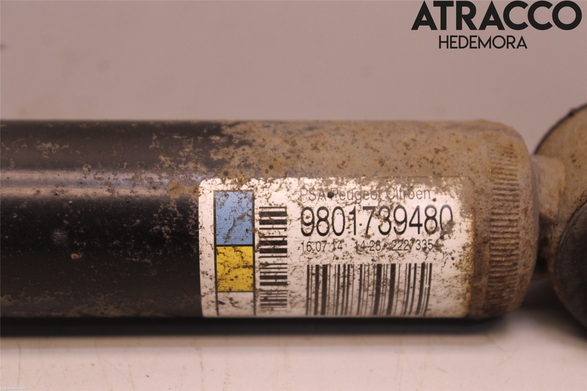 Citroen C3 10-17 Stötdämpare Bak