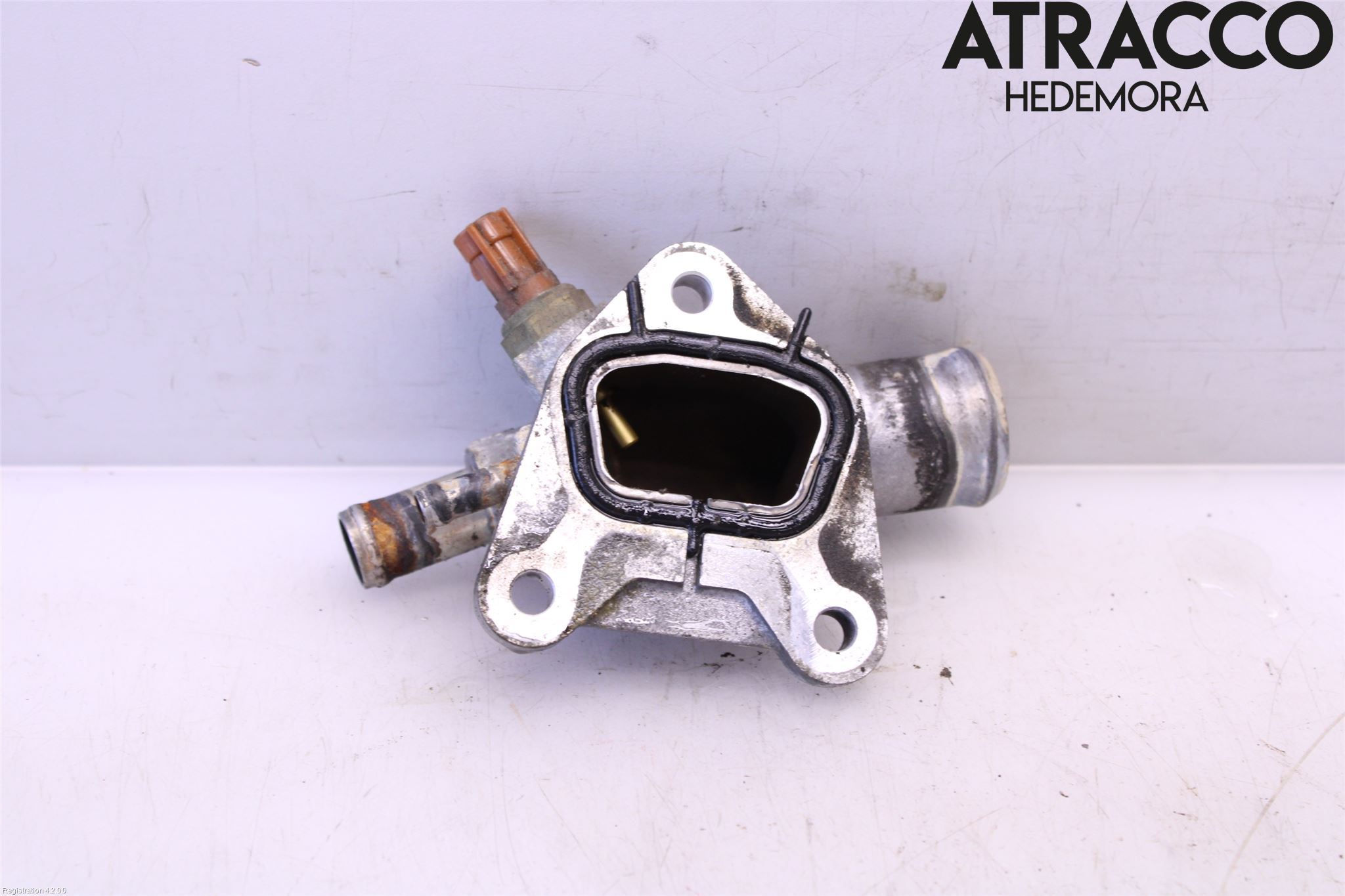 Suzuki KIZASHI Kylarslang Fördelningsrör