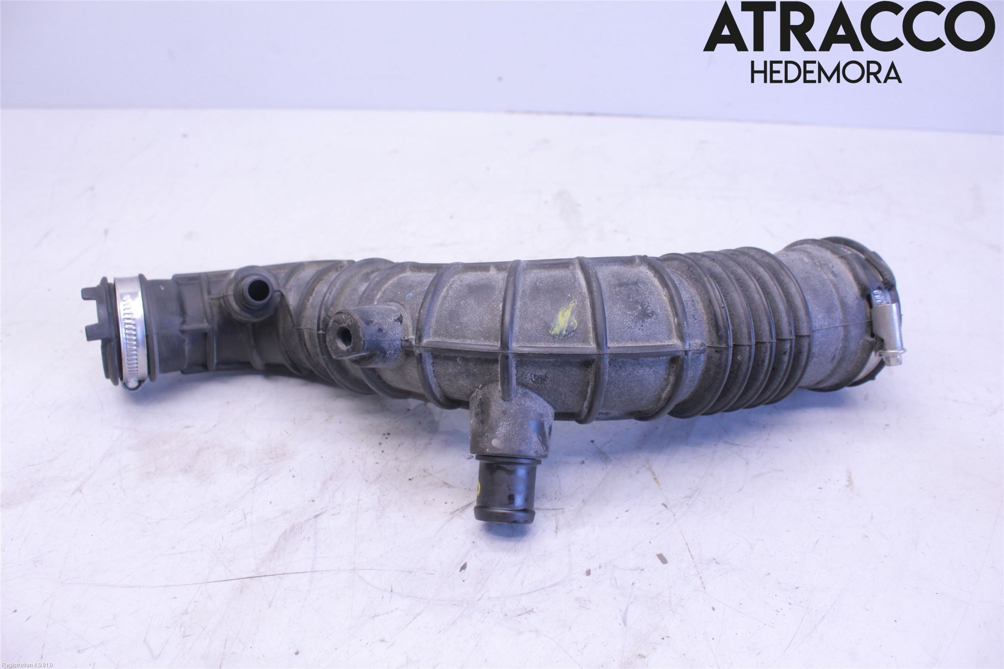 Dacia SANDERO/STEPWAY 13-20 Injgummibälg-Slang