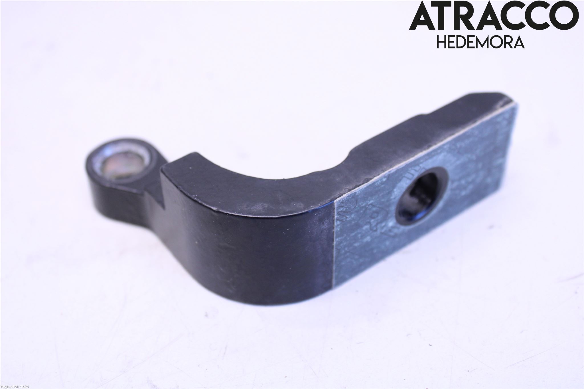 BMW i3 I01 13-22 Dörrgångjärn