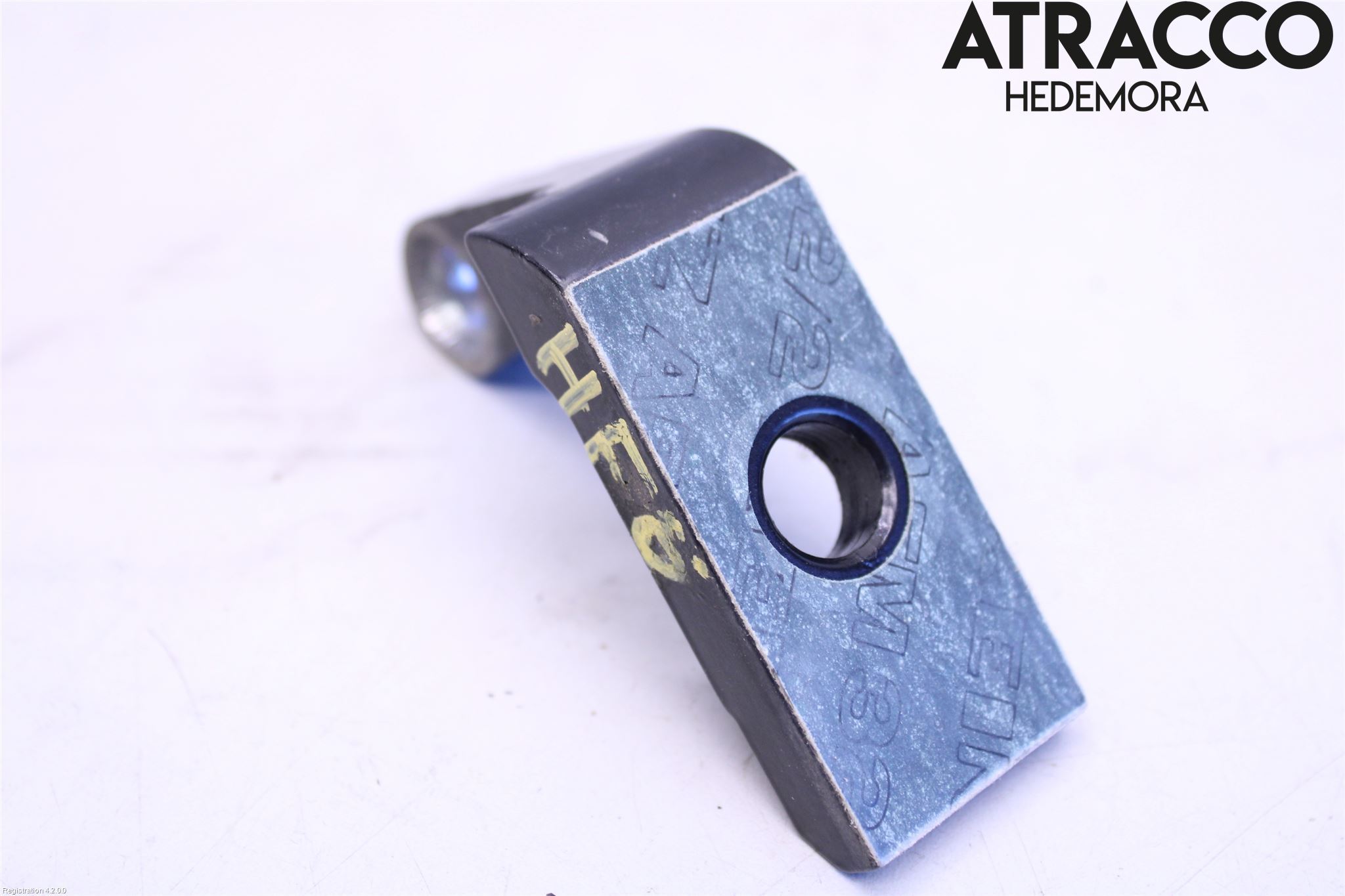 BMW i3 I01 13-22 Dörrgångjärn