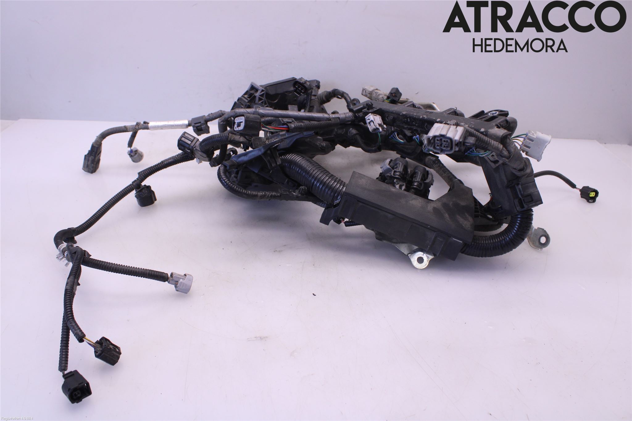 Toyota COROLLA 19- Kabelhärva