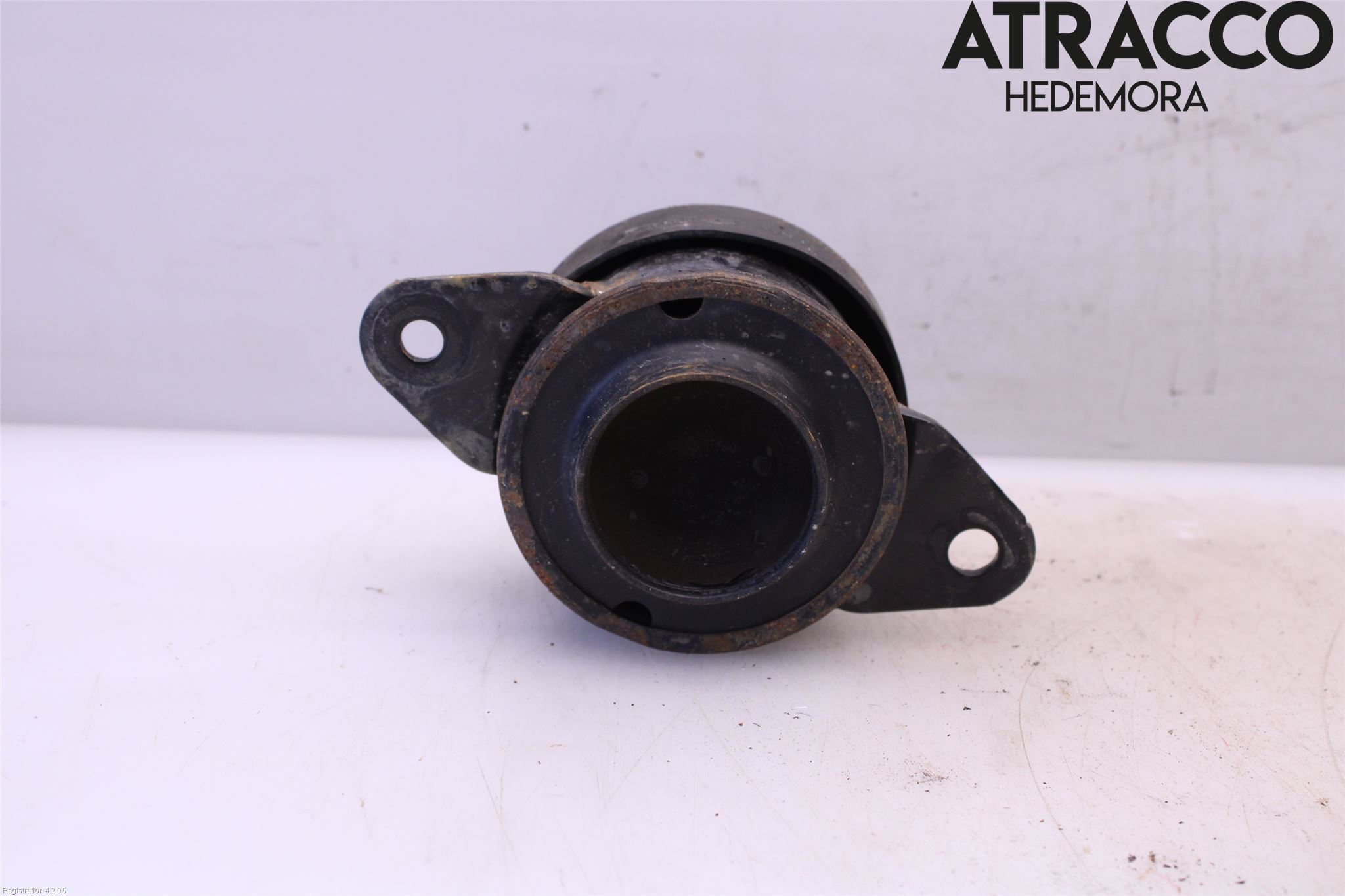 Nissan LEAF 18- Motorkudde