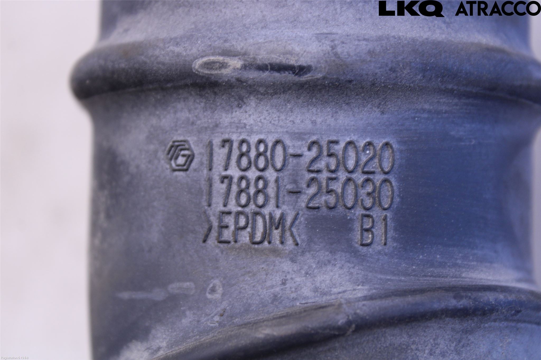 Toyota CAMRY 19-24 Injgummibälg-Slang
