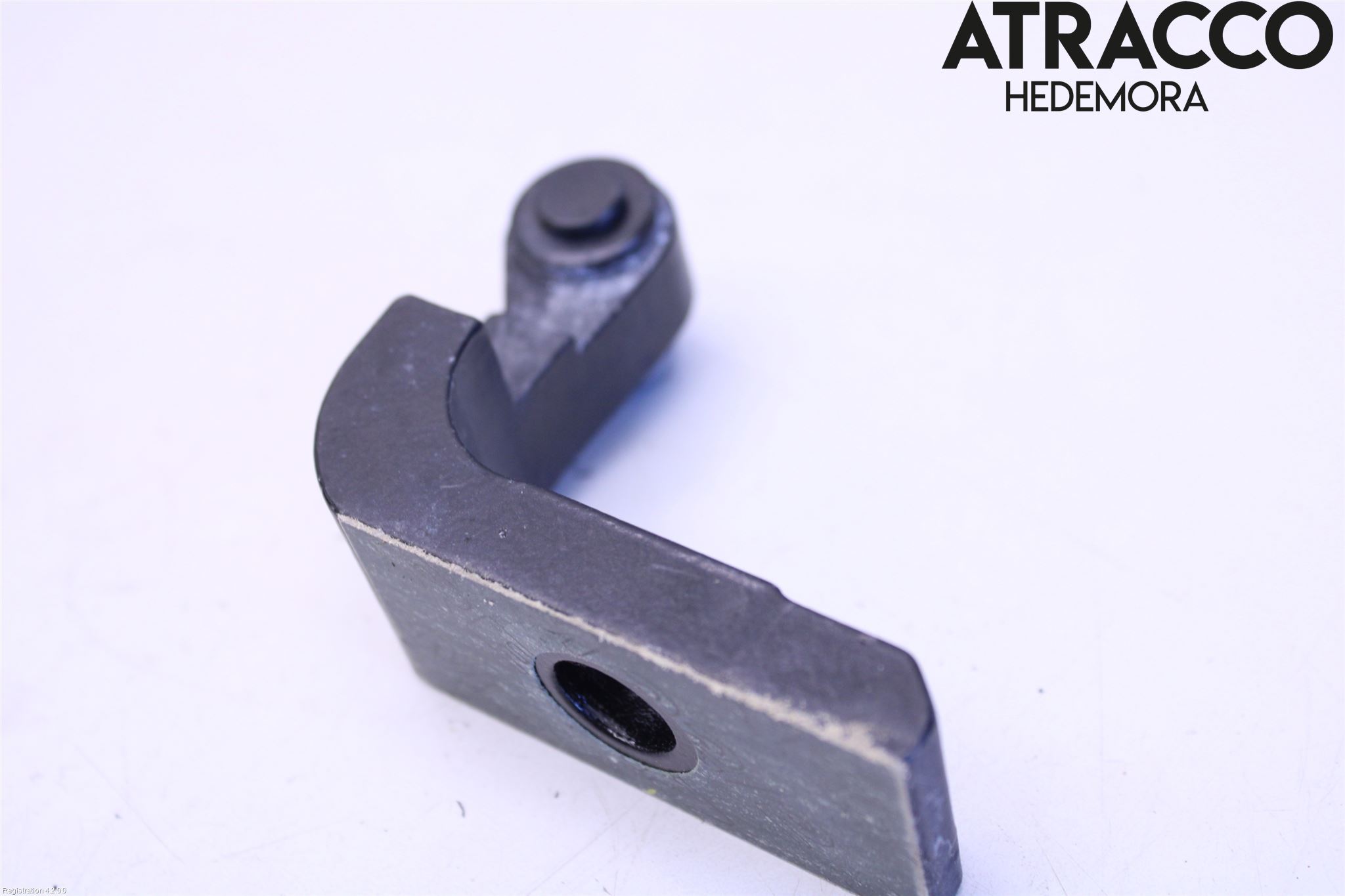 BMW i3 I01 13-22 Dörrgångjärn