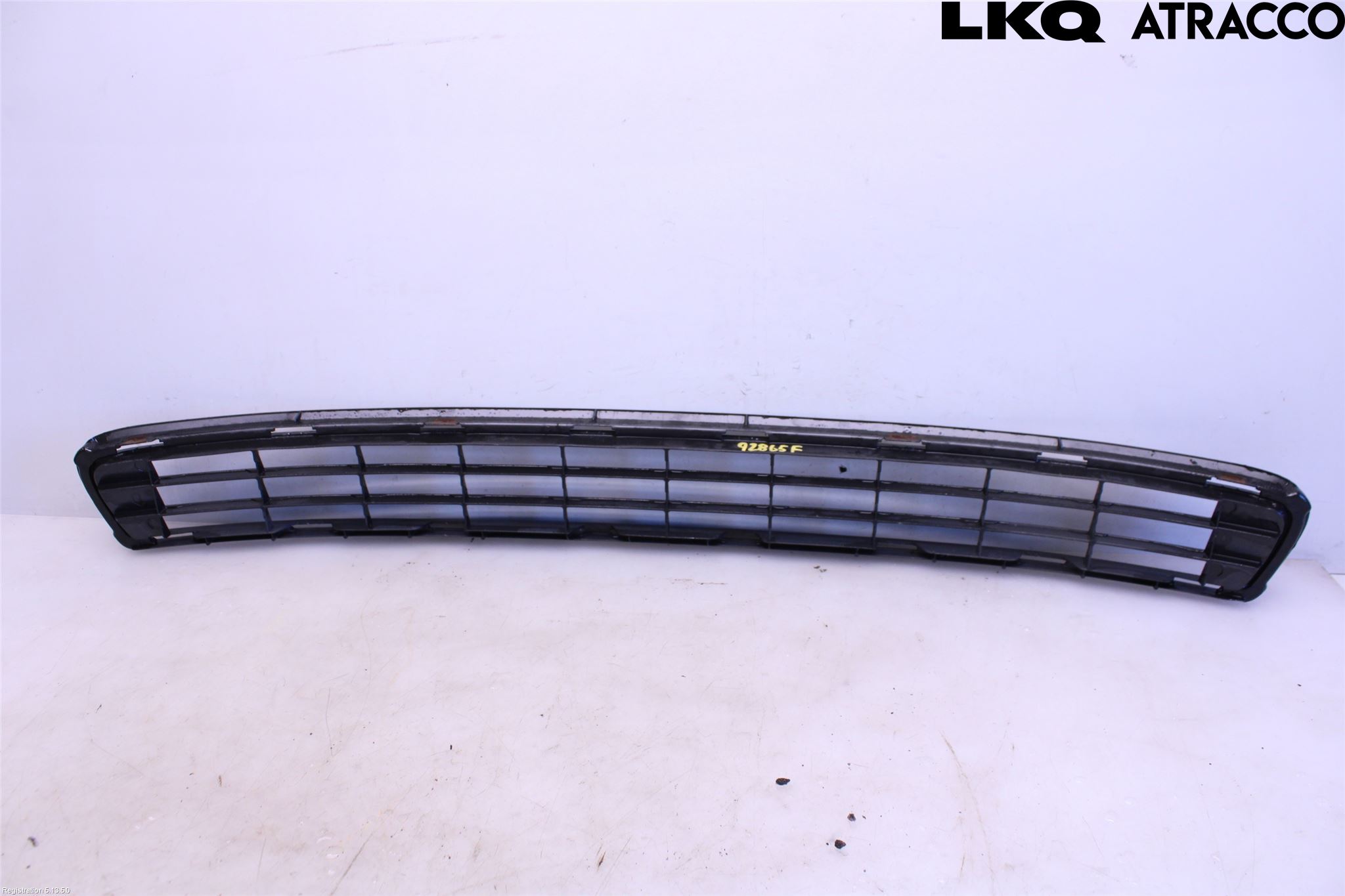 Toyota RAV 4 06-12 Grill-Galler