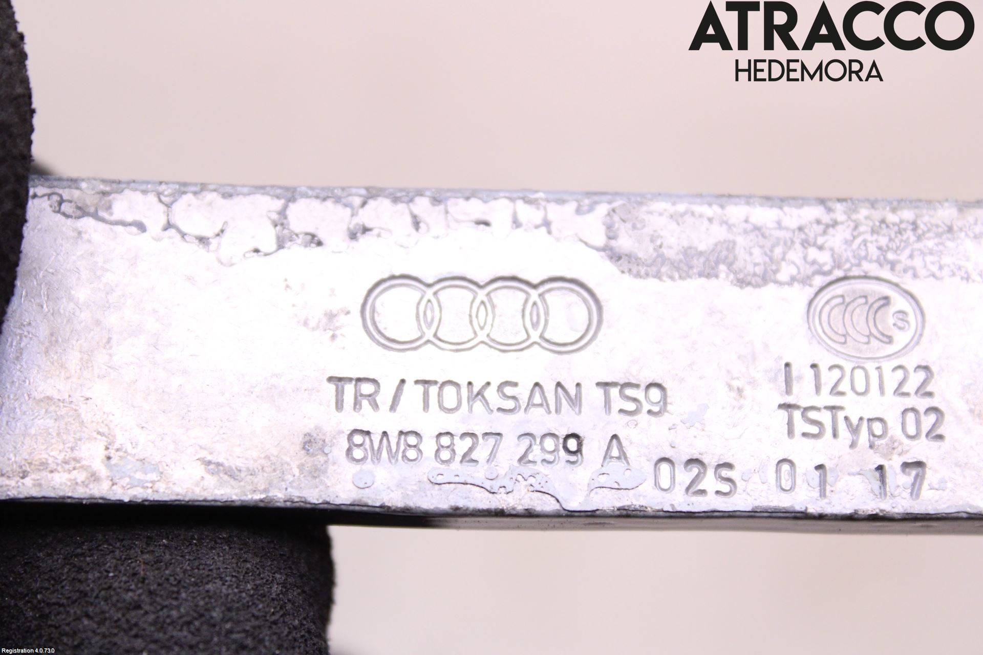 Audi A5 17- Bakluckegångjärn Vä