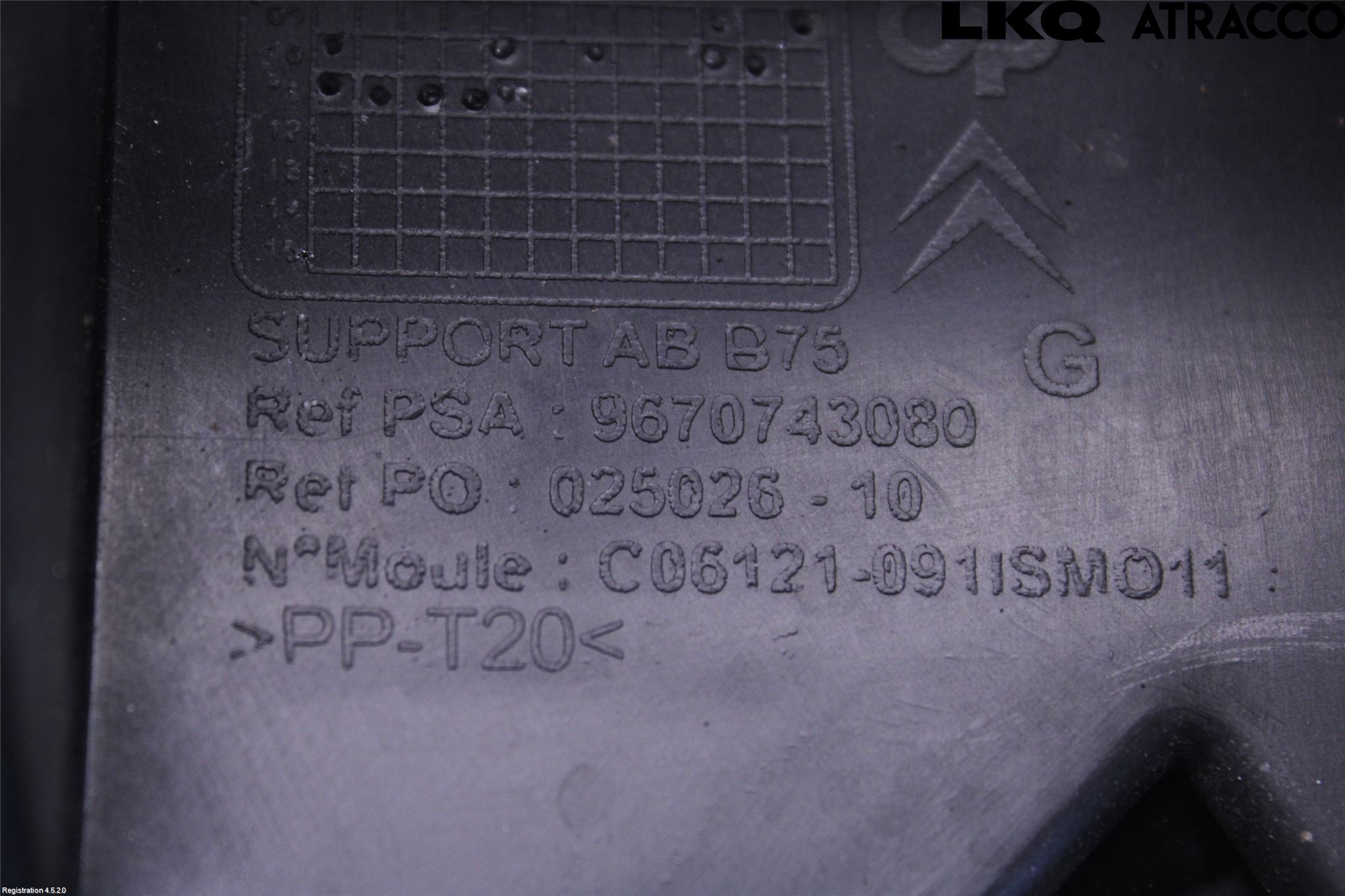 Citroen DS4 Dimljussarg Fram