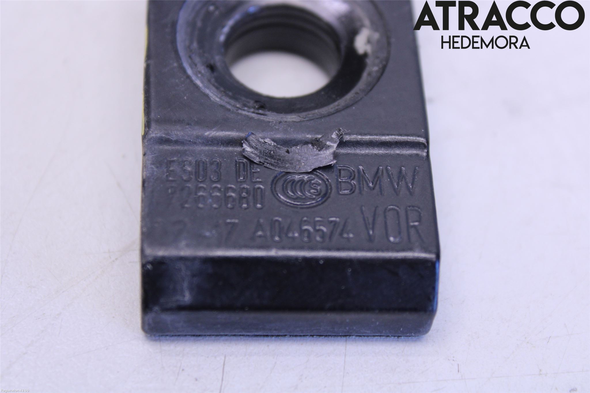 BMW i3 I01 13-22 Dörrgångjärn