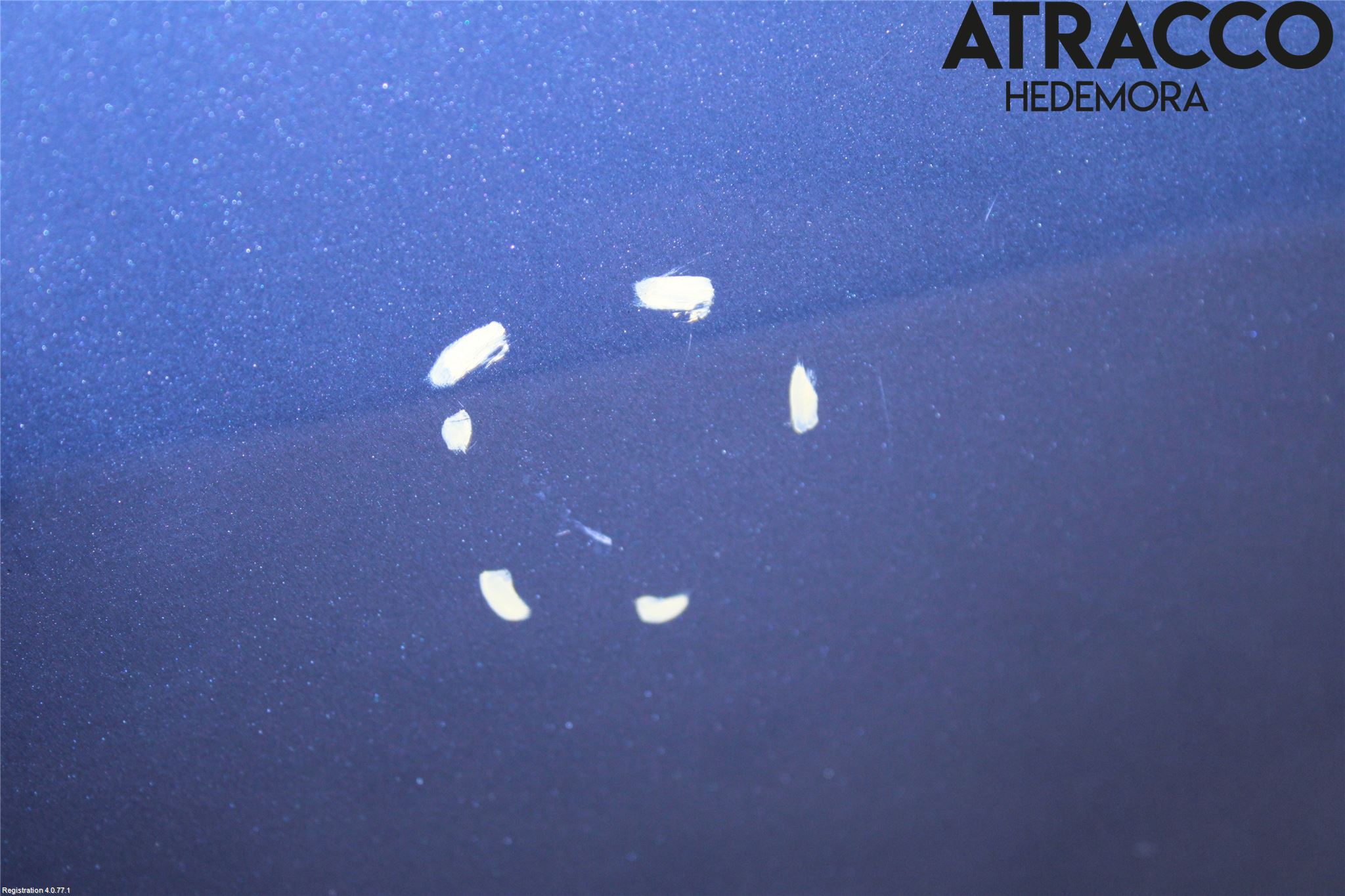 Citroen JUMPY -07 Dörr Fram Höger