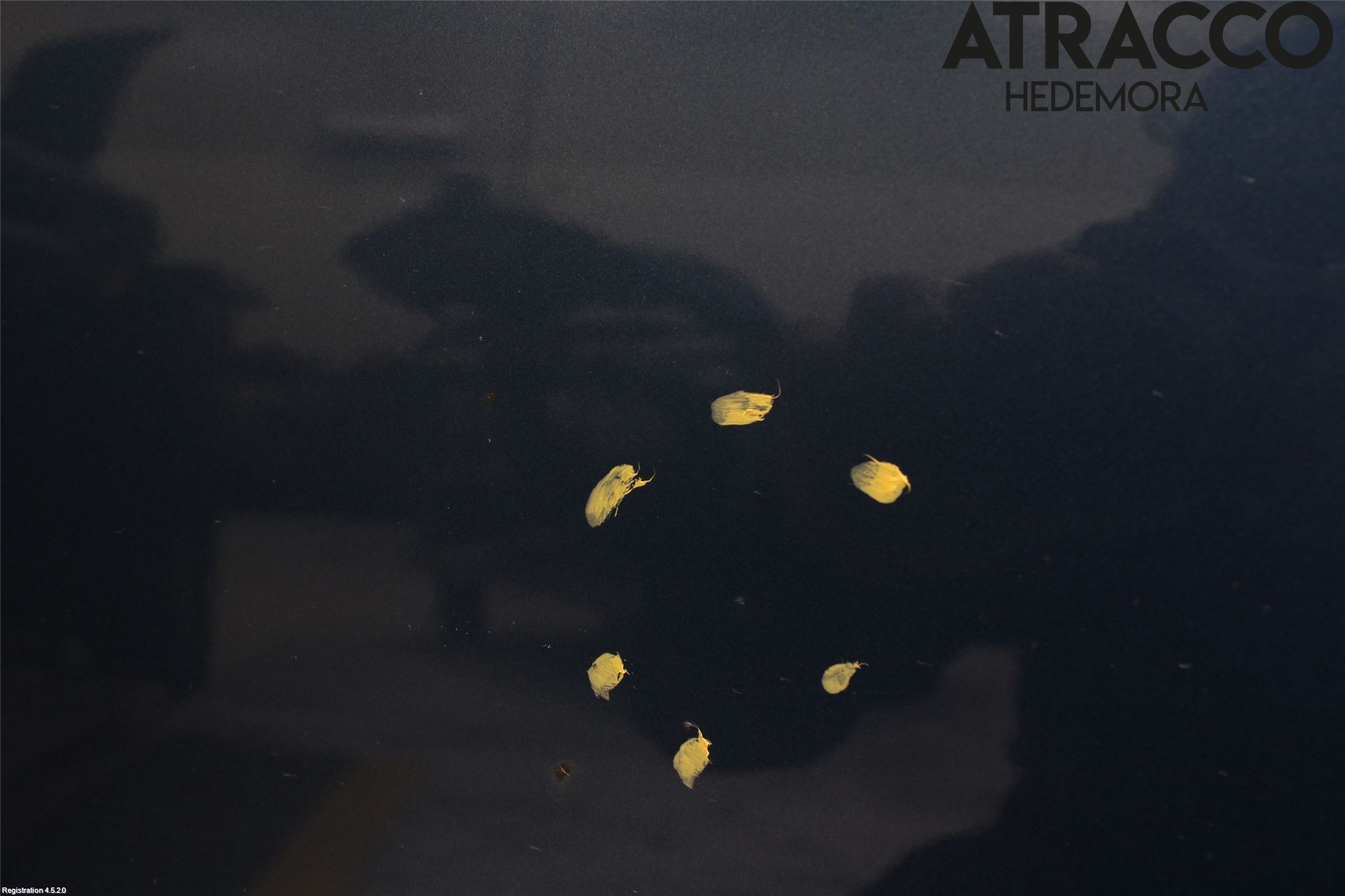 Hyundai i40 08-15 Dörr 2D Höger