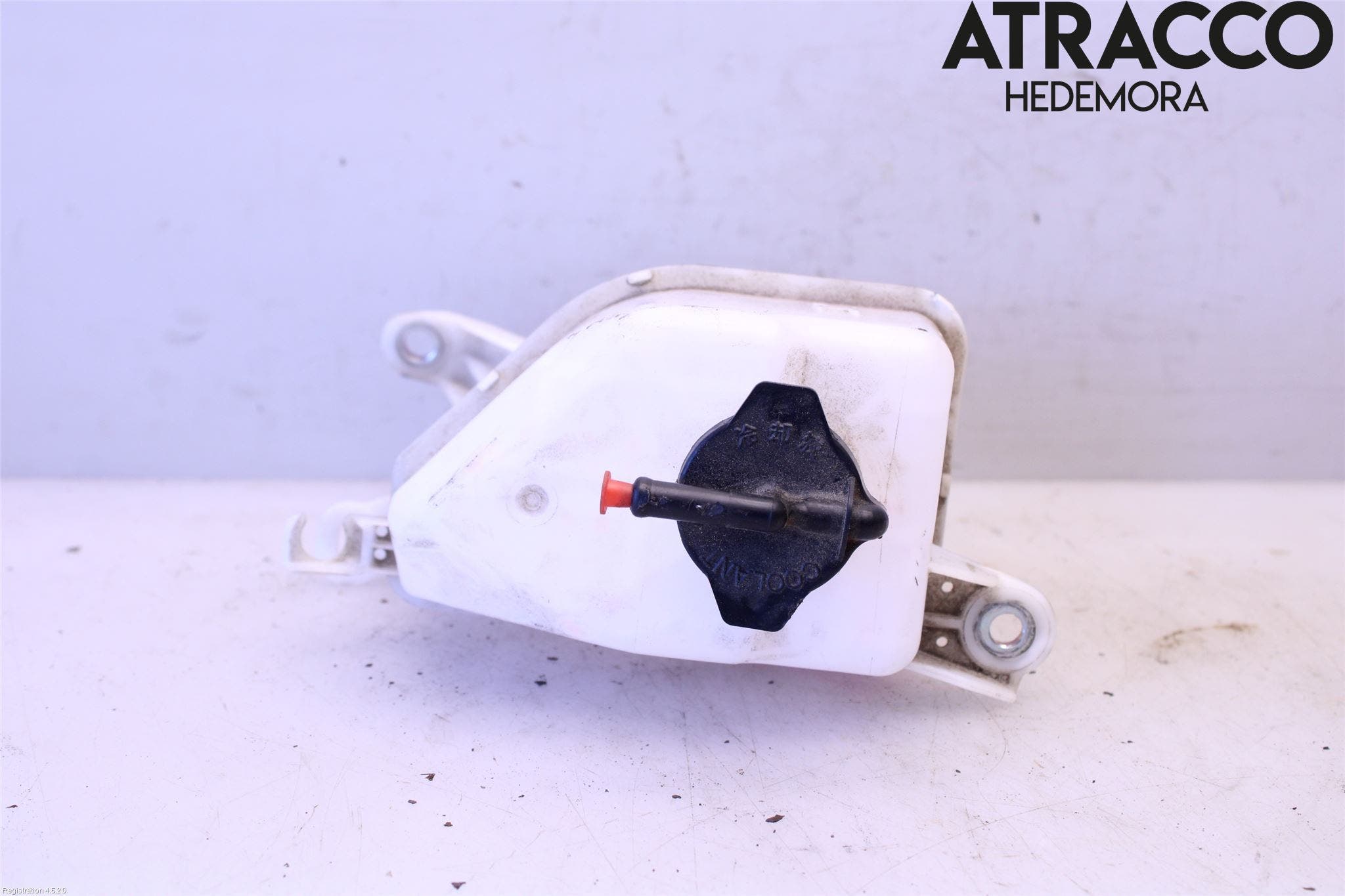 Toyota CAMRY 19-24 Expansionstank