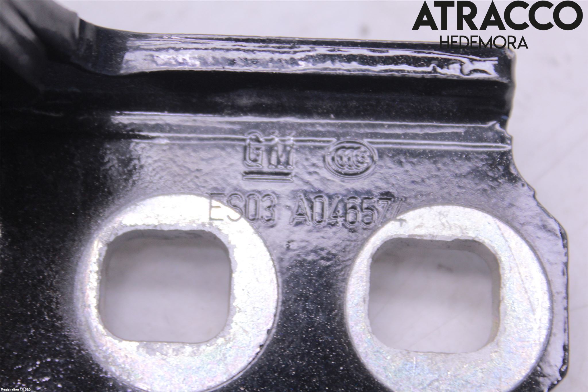 Opel INSIGNIA 17- Dörrgångjärn