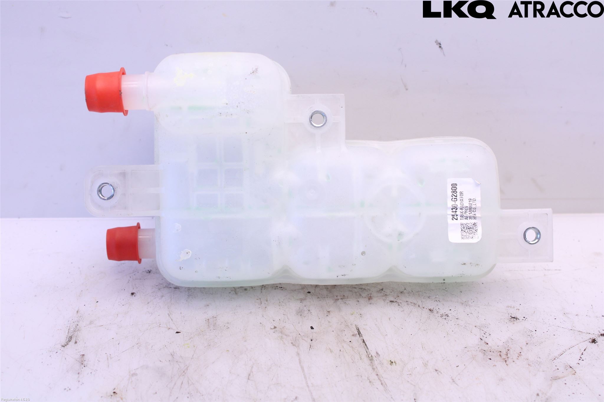 Kia NIRO (DE) 17-22 Expansionstank