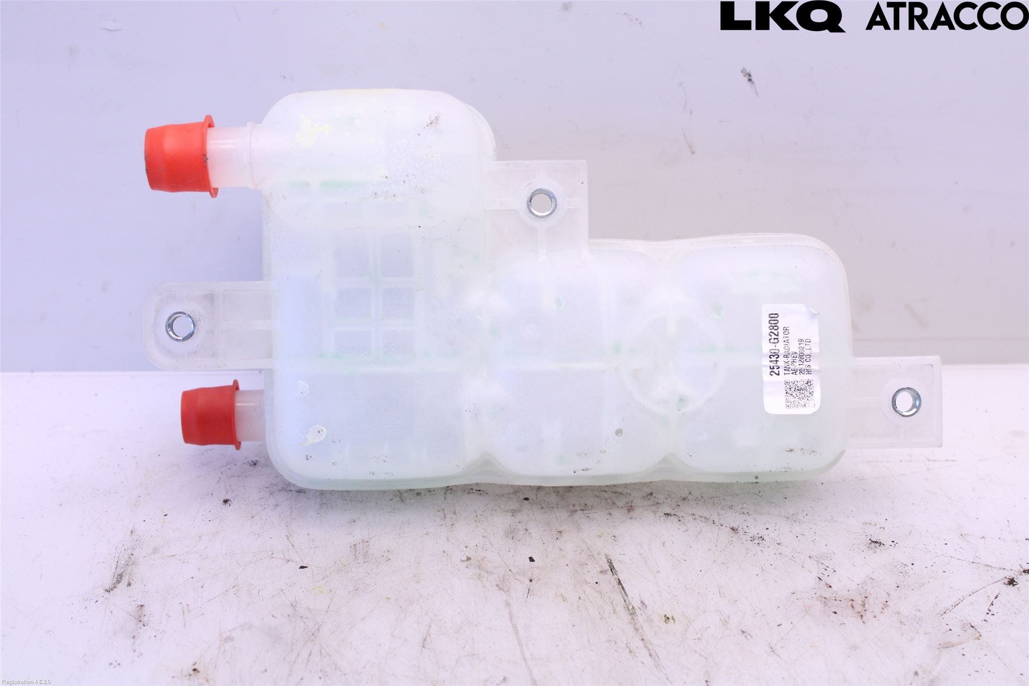 Kia NIRO (DE) 17-22 Expansionstank