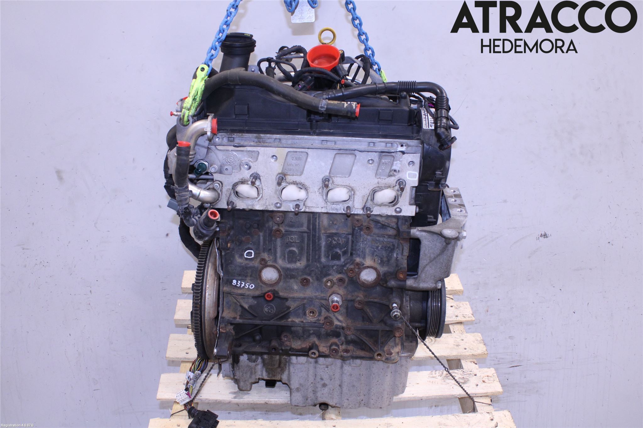 Volkswagen VW TRANSP/CARAVELLE (T6) 16-22 Motor Diesel