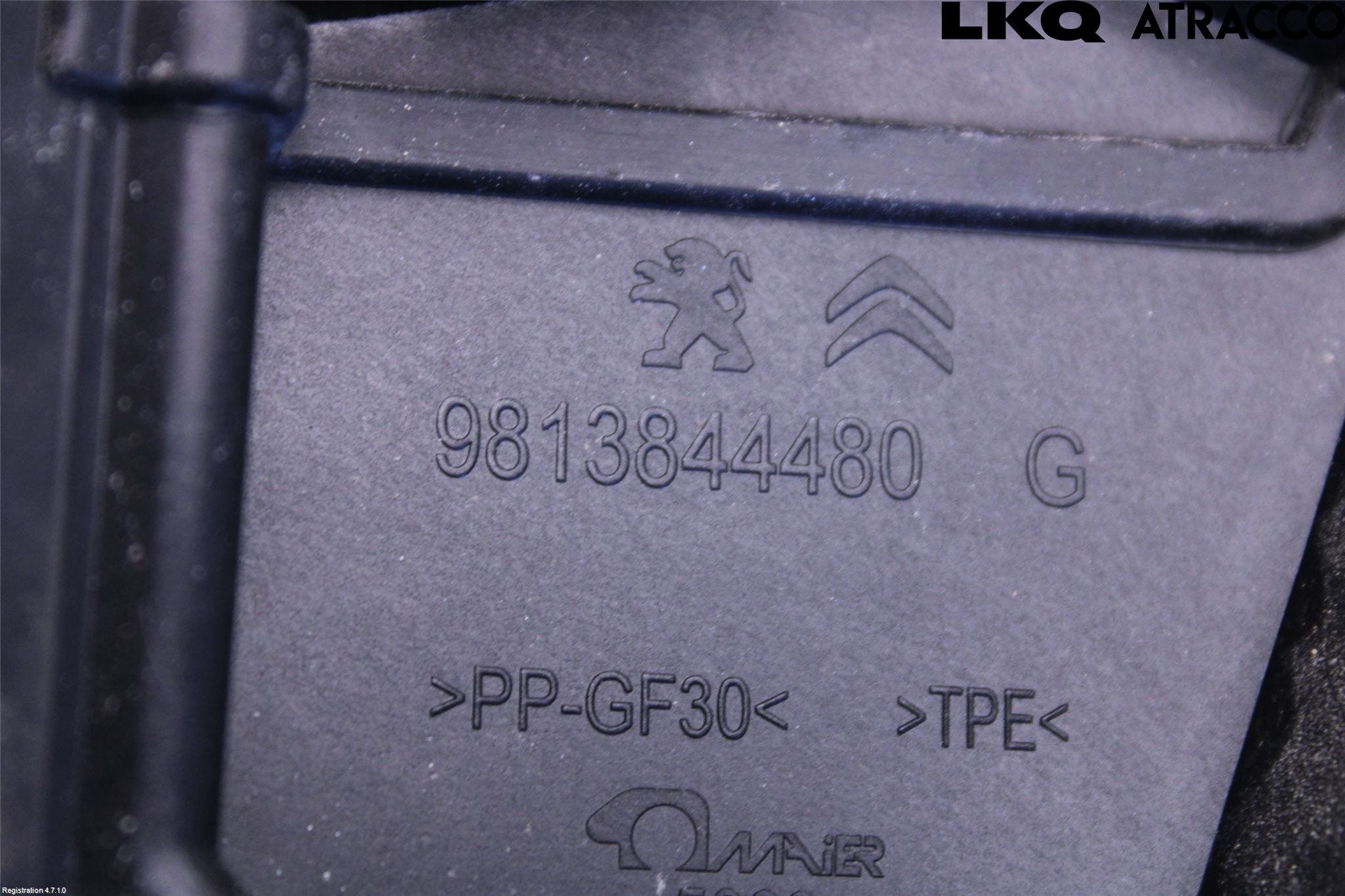 Peugeot 3008 17-24 Bakruta - Dekorlist