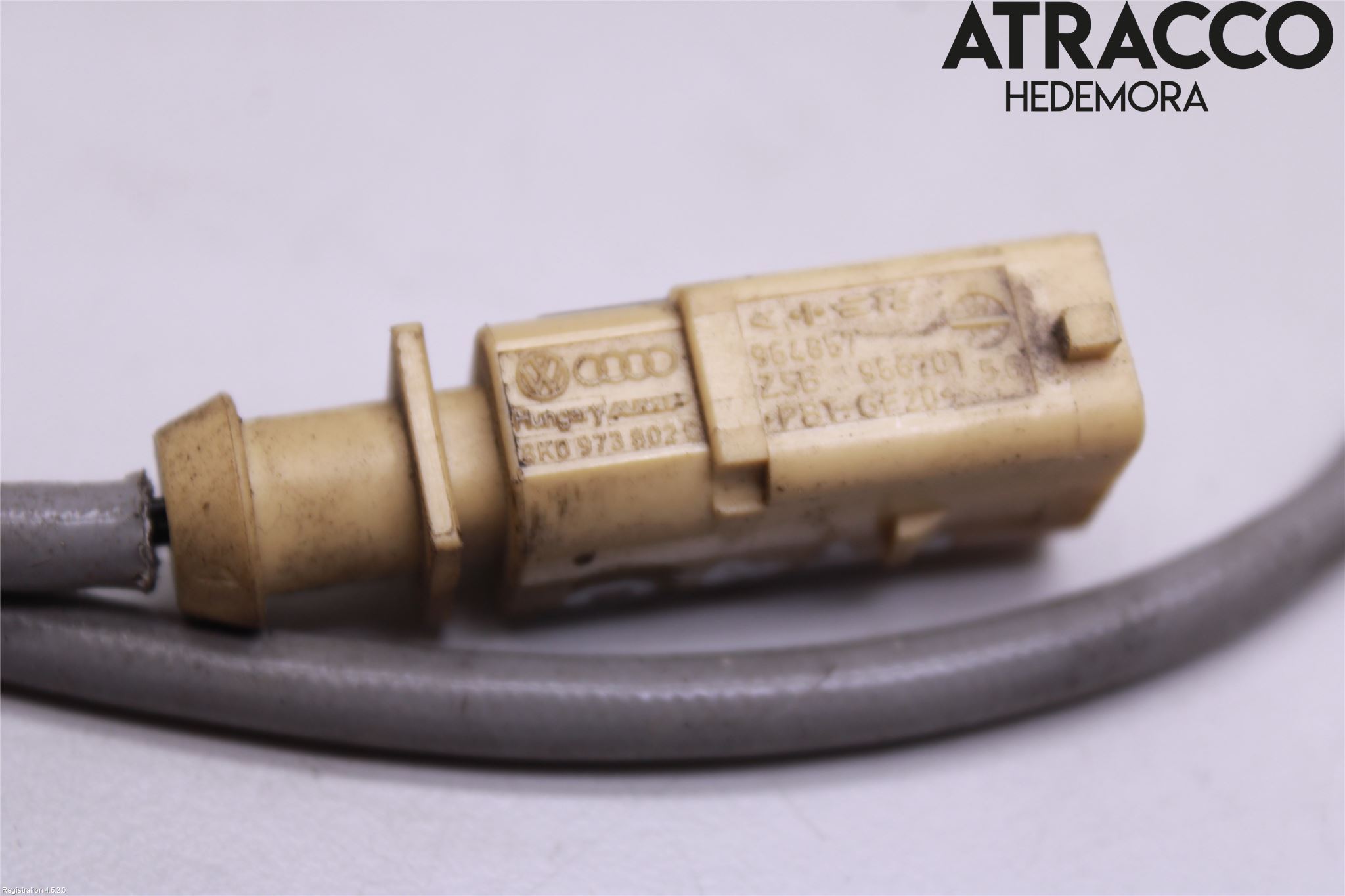 Volkswagen VW PASSAT 20-24 Sensor Avgas