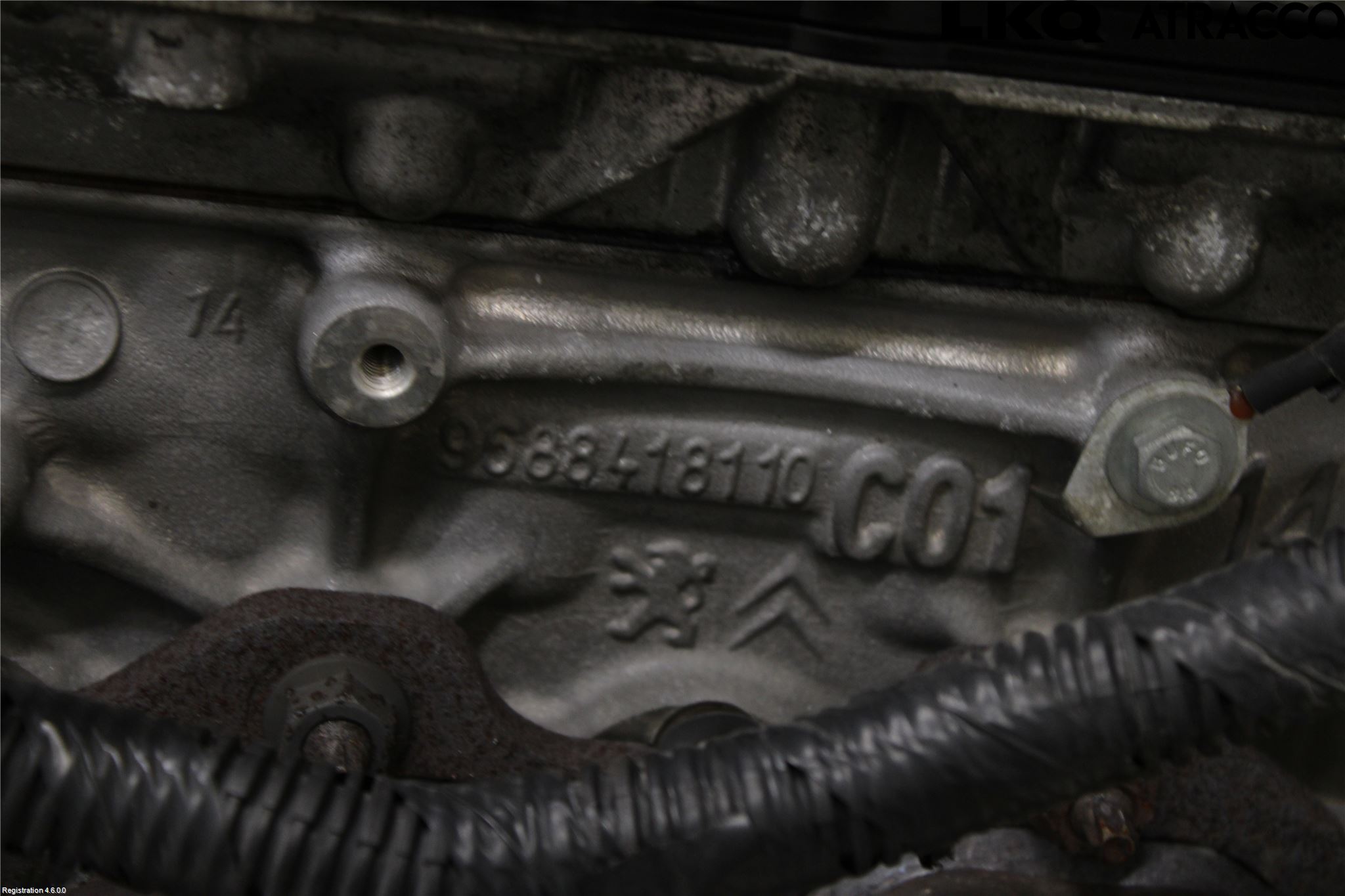 Ford KUGA 13-16 Motor Diesel