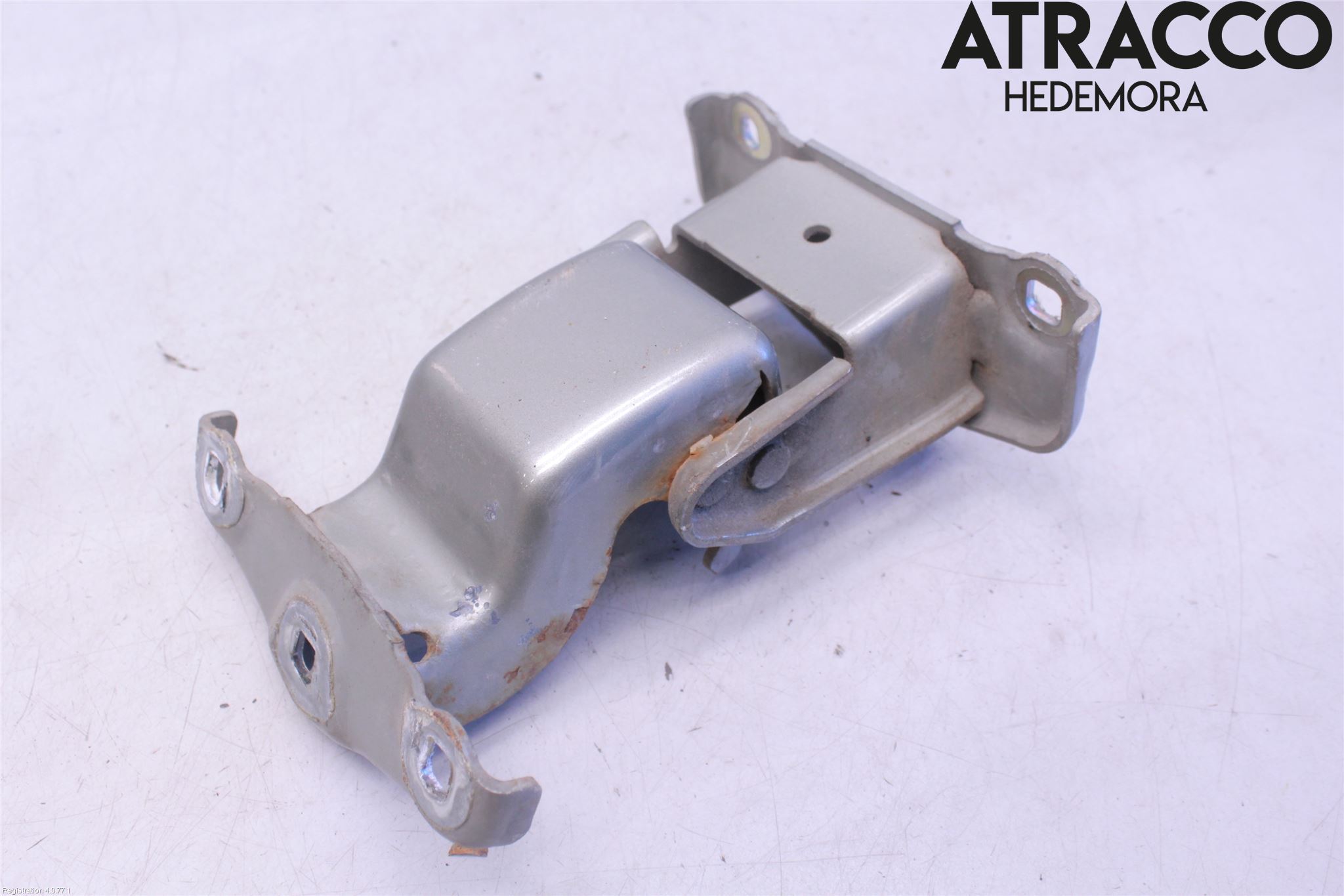 Renault TRAFIC   02-14 Dörrgångjärn