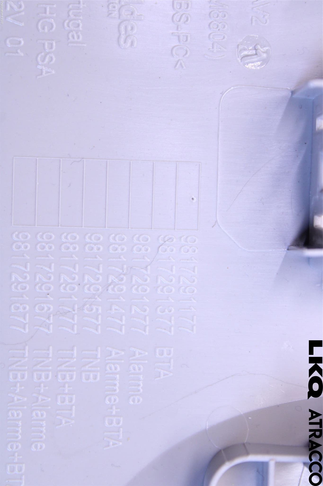 Citroen BERLINGO/E-BERLINGO 19- Innerbelysning