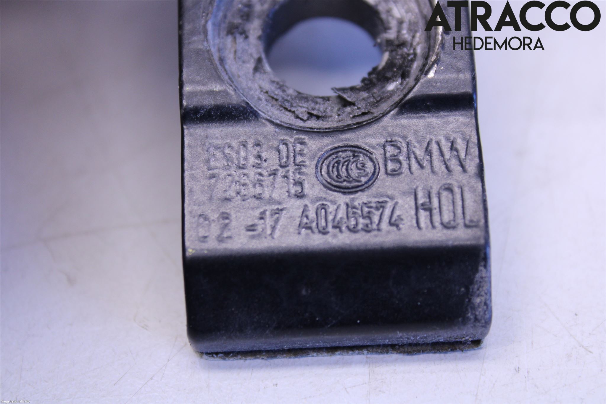 BMW i3 I01 13-22 Dörrgångjärn