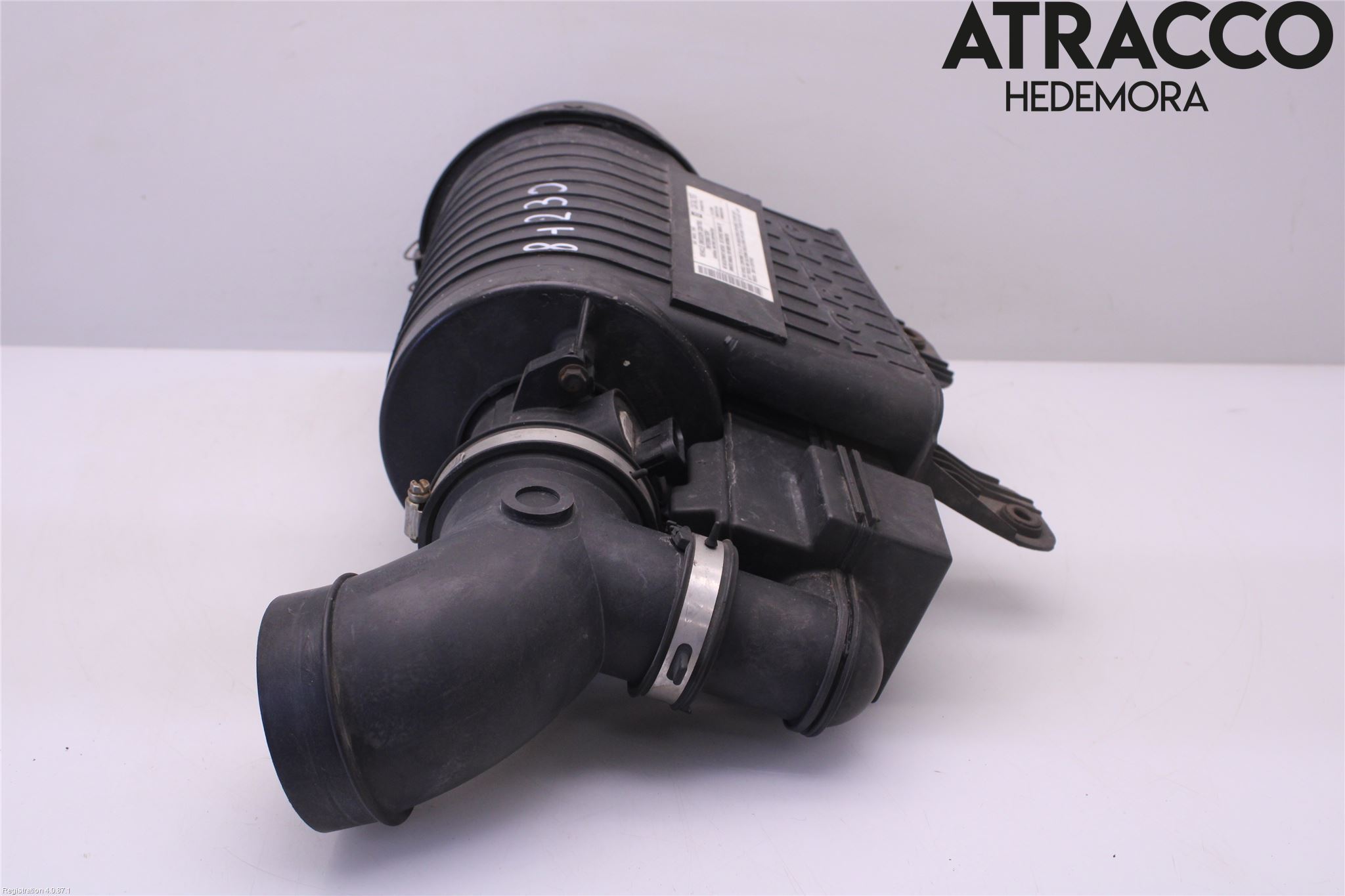 Chevrolet EXPRESS Luftrenare