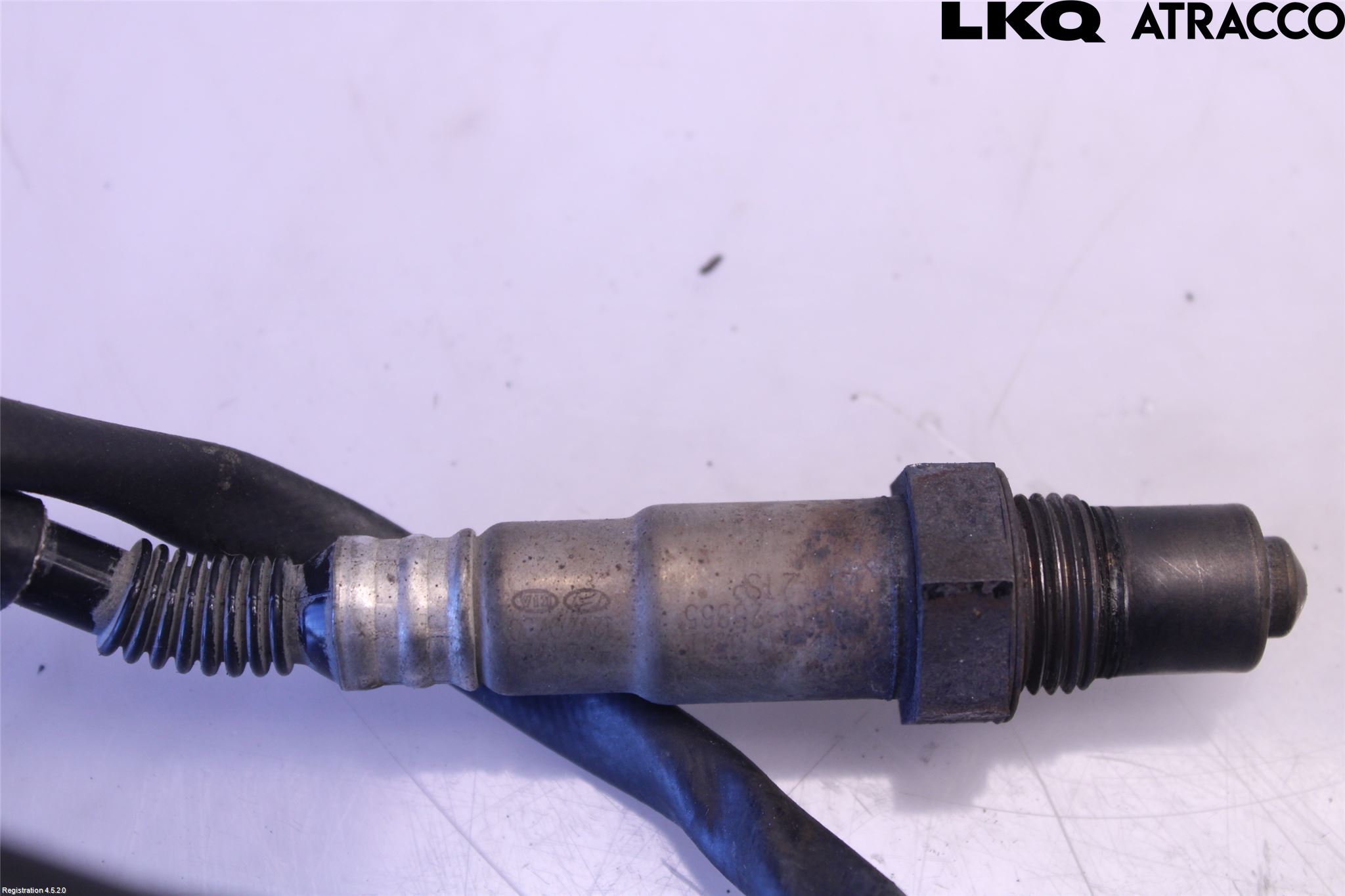 Kia PROCEED 19- Injlambdasond