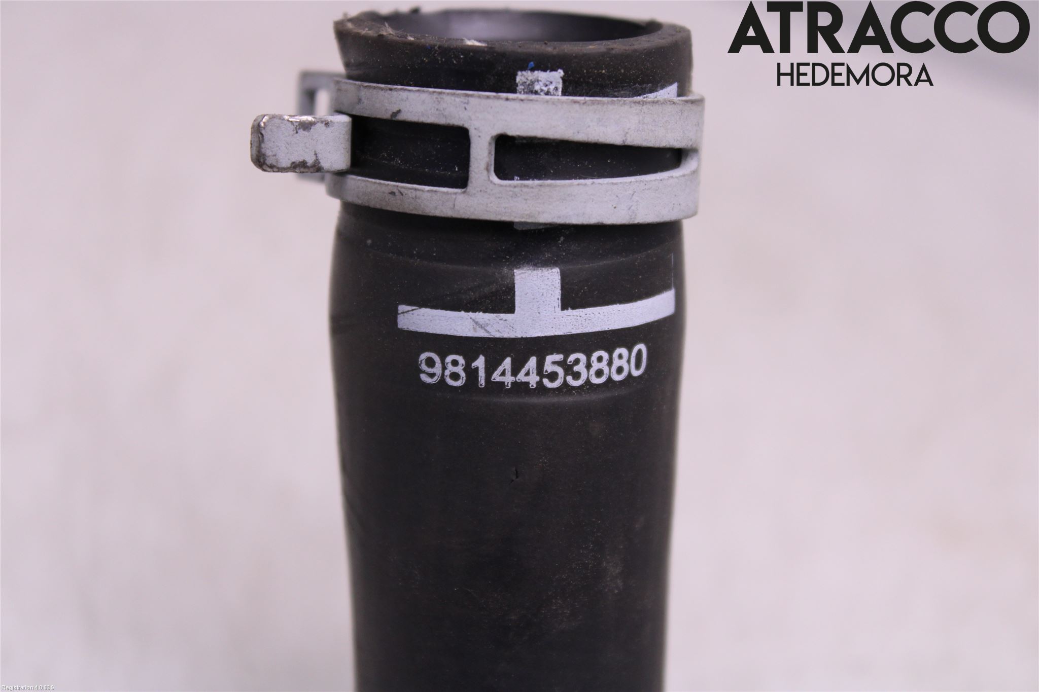 Citroen COTROEN C3 17-24 Kylarslang