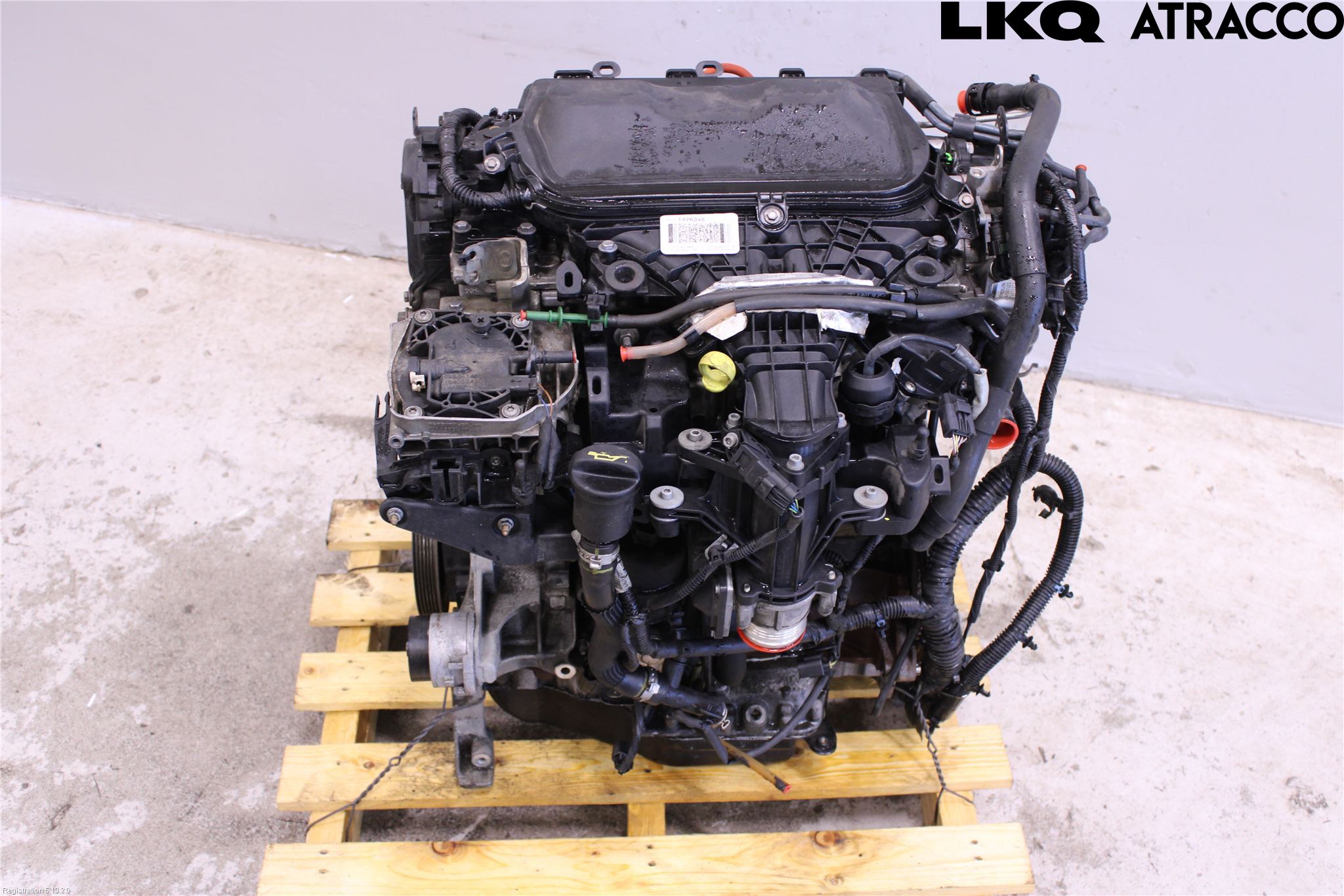 Ford KUGA 13-16 Motor Diesel