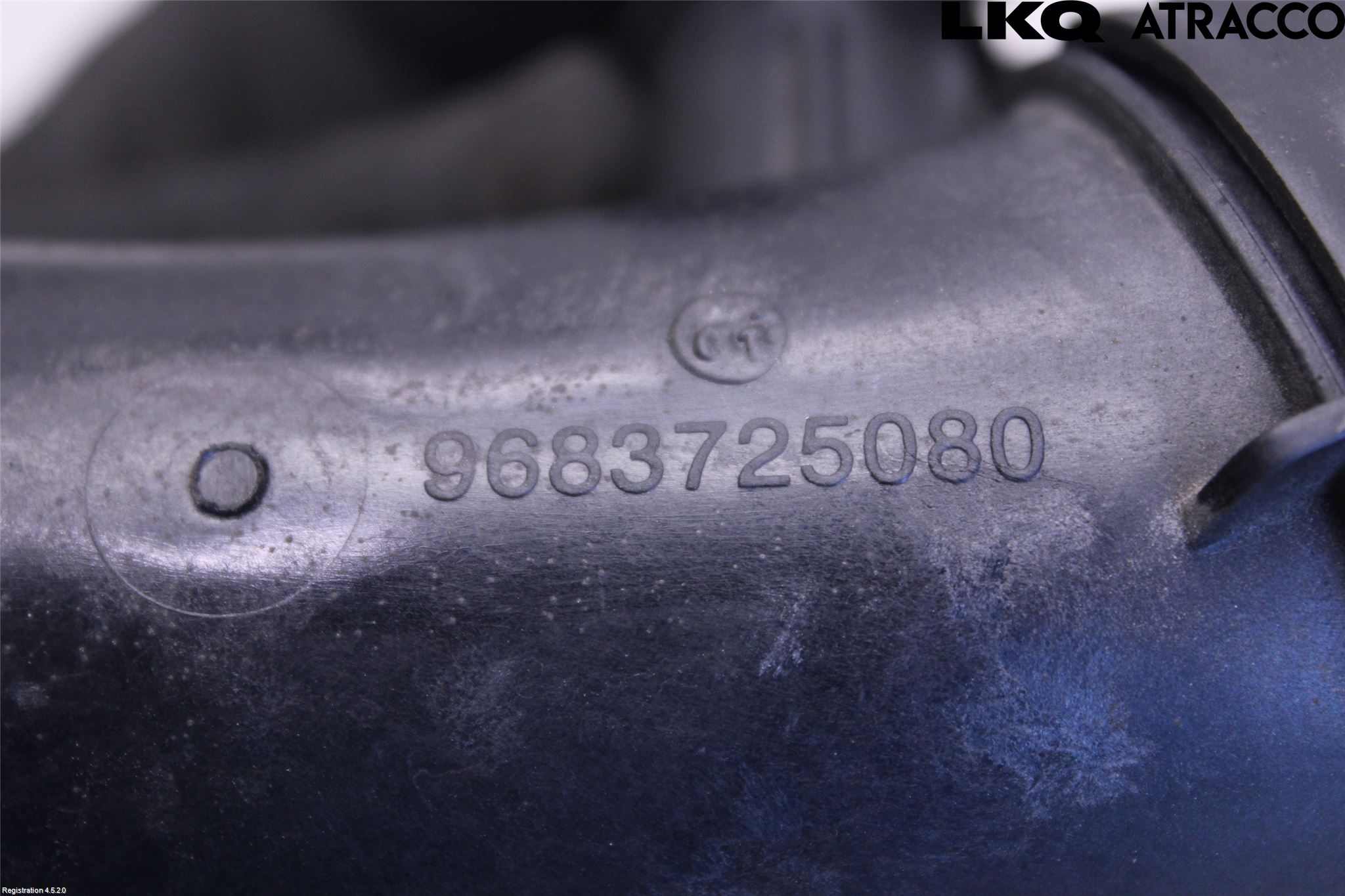 Citroen C4 PICASSO 14-18 Injgummibälg-Slang