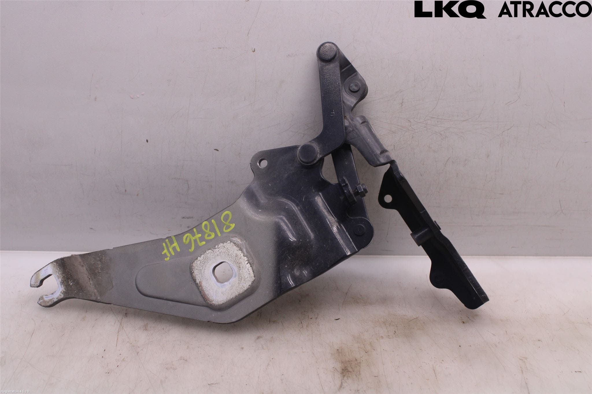 BMW X5 E70 07-13 Huvgångjärn