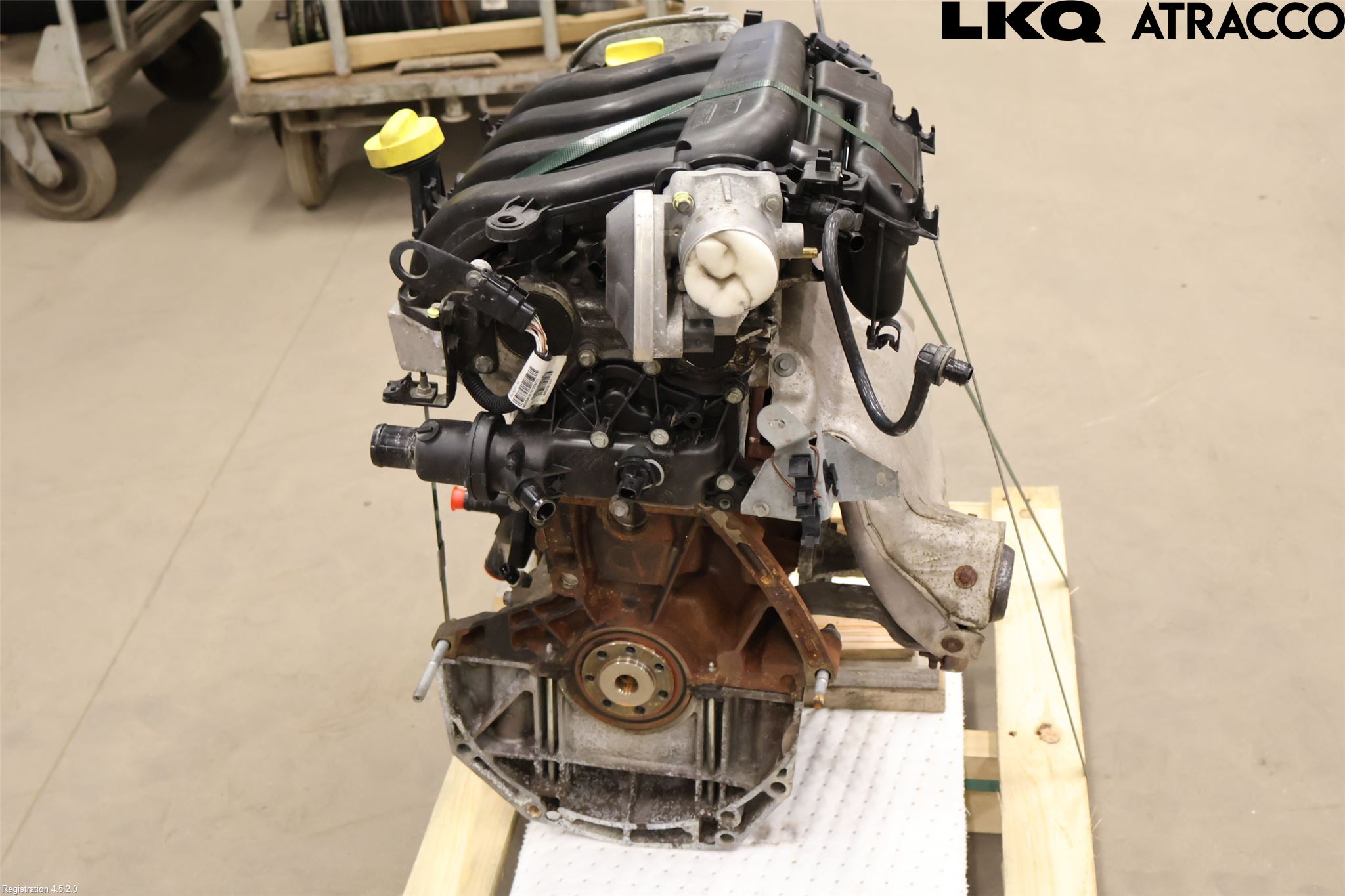 Renault SCÉNIC III / GRAND SCÉNIC 09-16 Motor Bensin